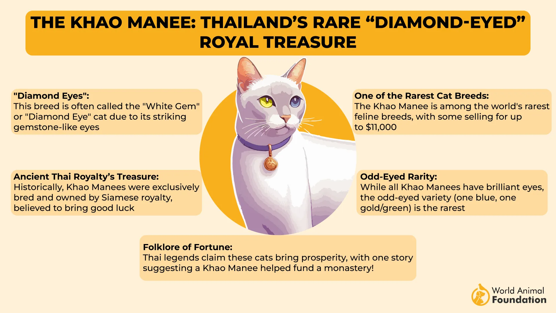 The Khao Manee Thailand’s Rare “Diamond-Eyed” Royal Treasure-01