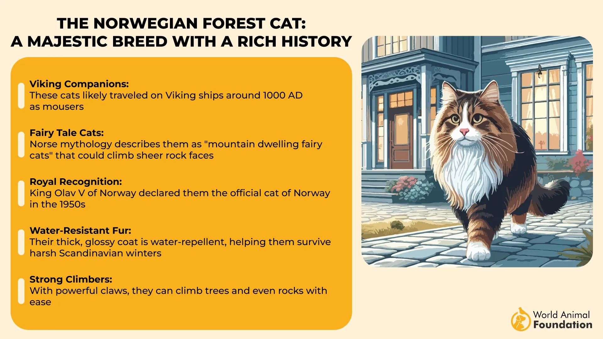 The Norwegian Forest Cat A Majestic Breed with a Rich History-01