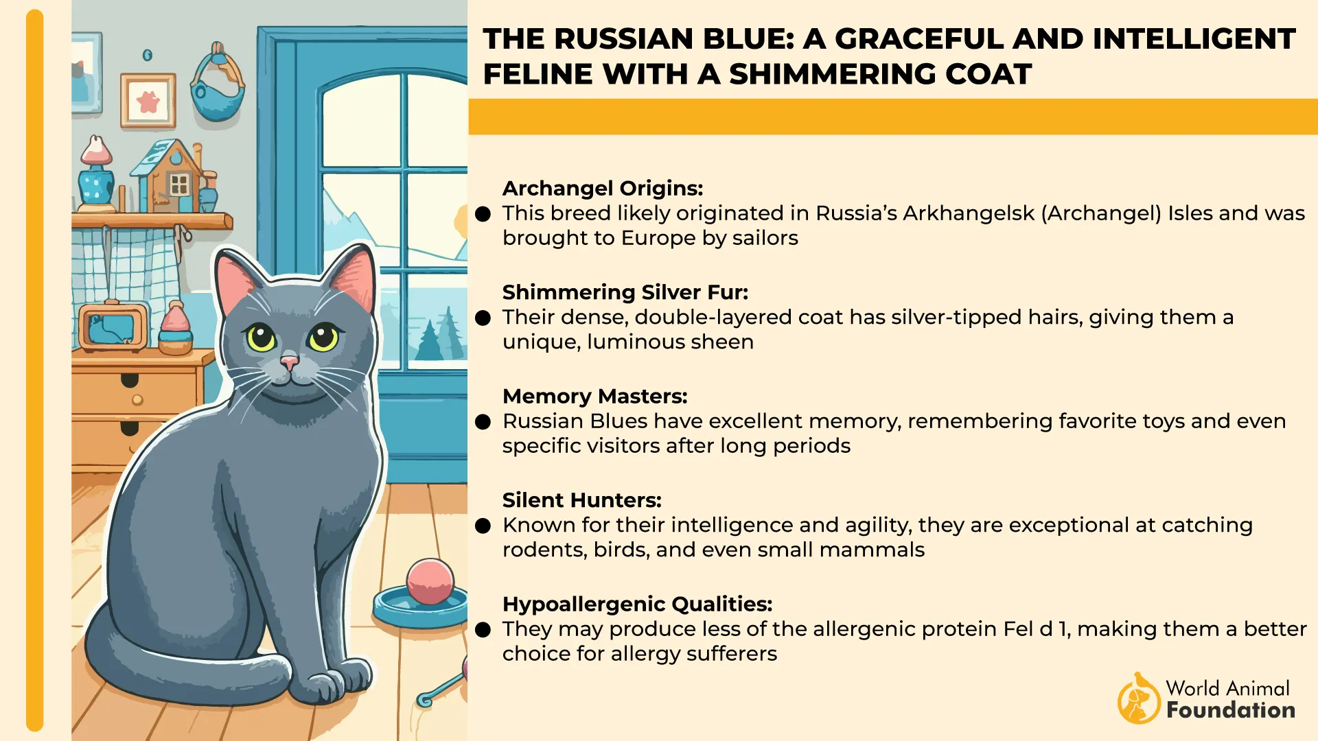 The Russian Blue A Graceful and Intelligent Feline with a Shimmering Coat-01