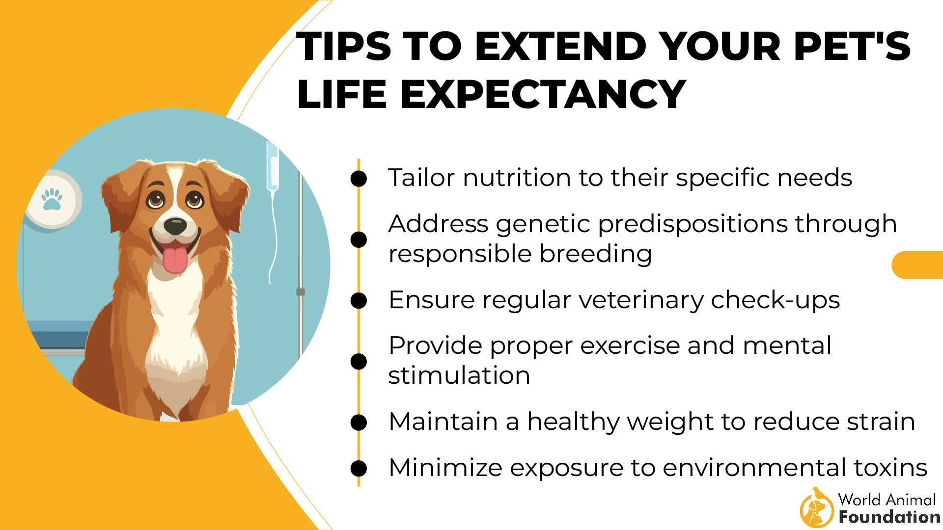 Tips to Extend Your Pet's Life Expectancy-01