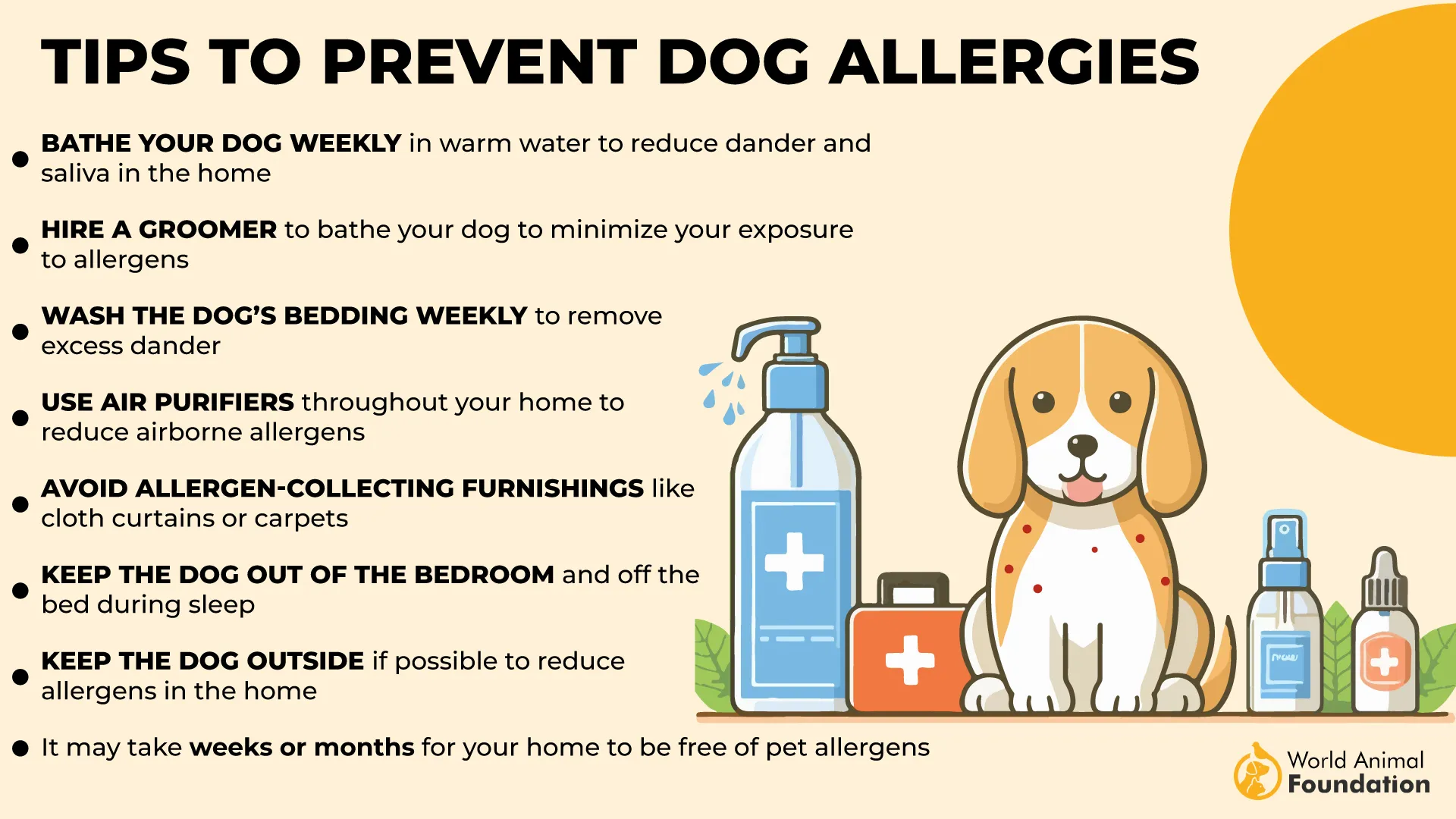 Tips to Prevent Dog Allergies-01