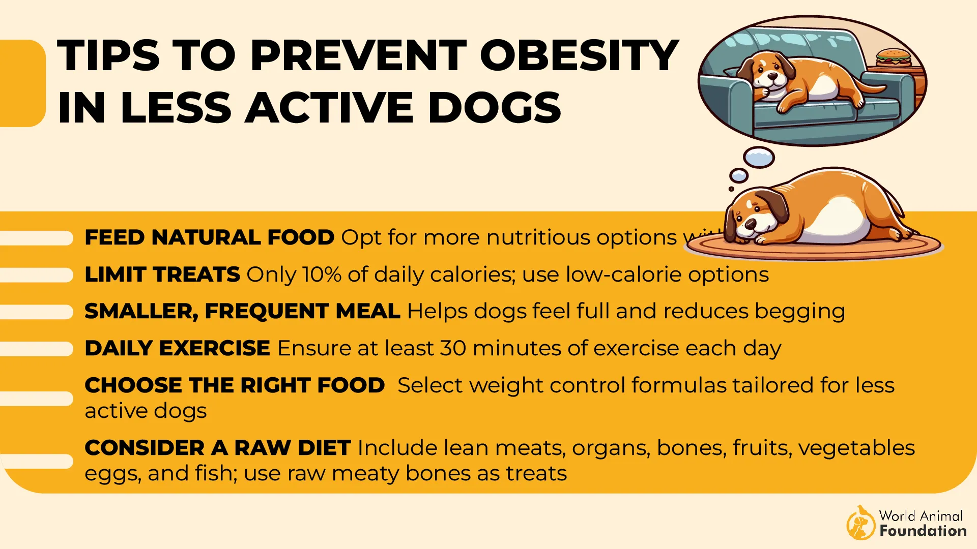 Tips to Prevent Obesity in Less Active Dogs-01