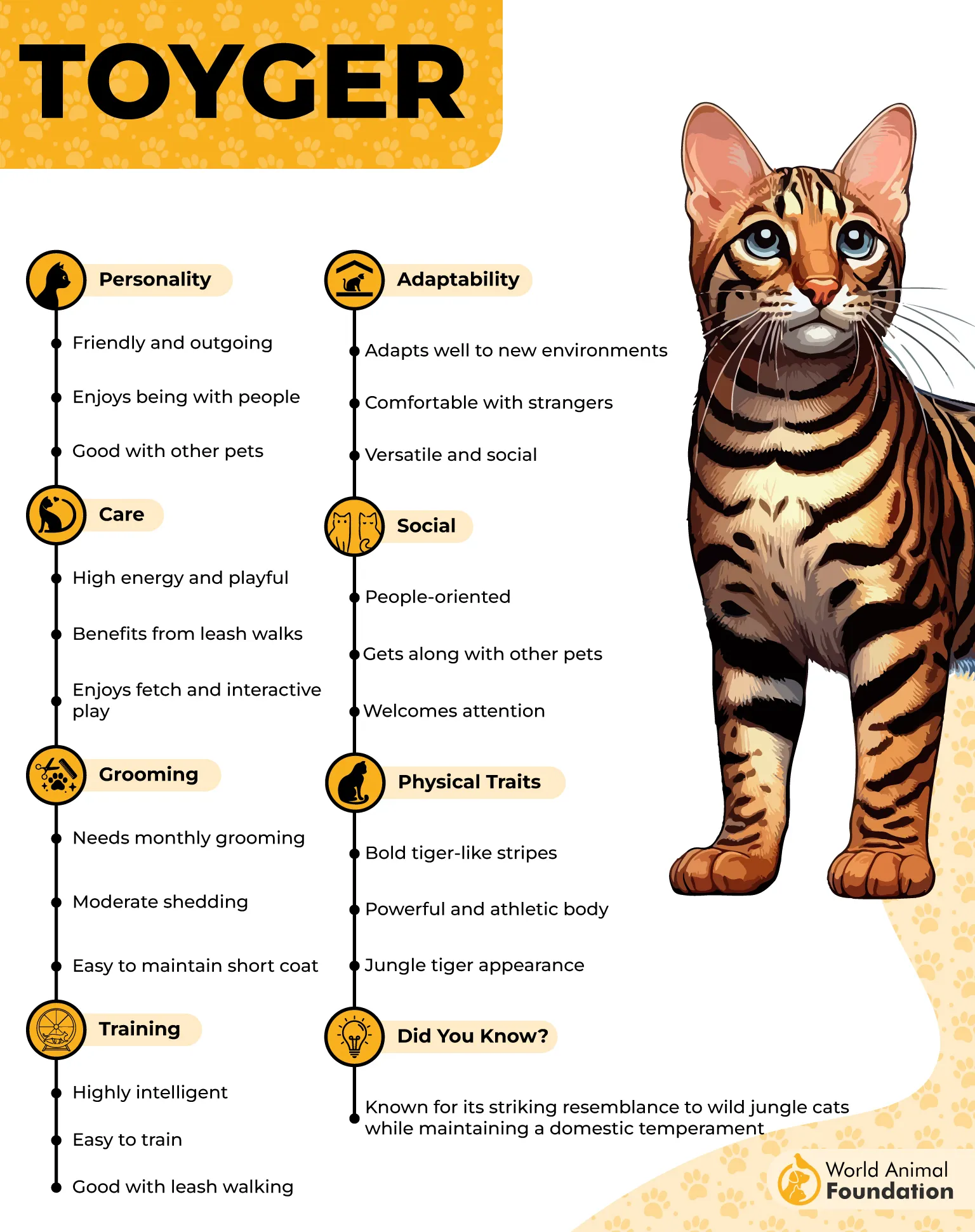 Toyger Profile