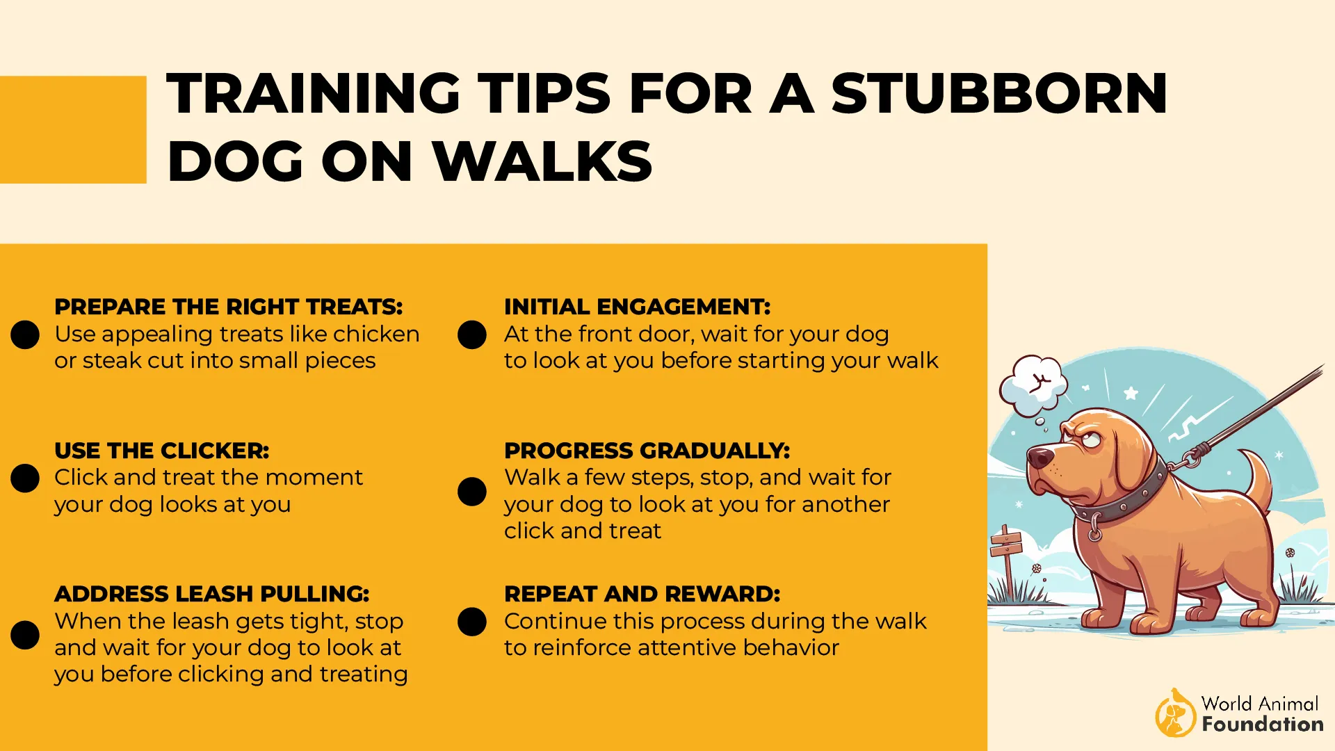 Training Tips for a Stubborn Dog on Walks-01