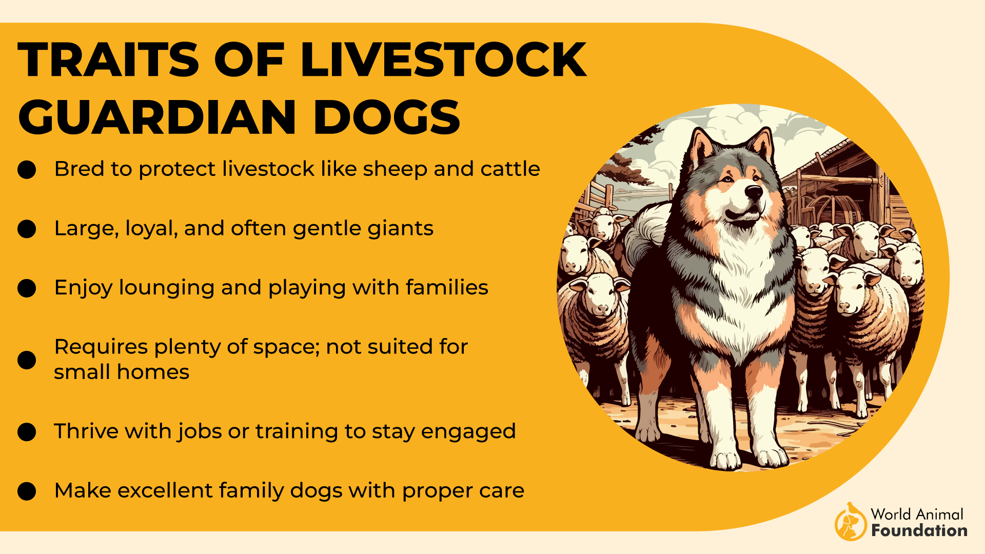 Traits of livestock guardian dogs-01