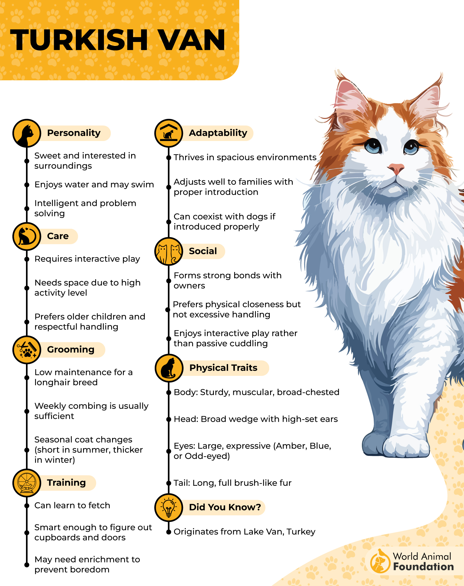 Turkish Van Profile