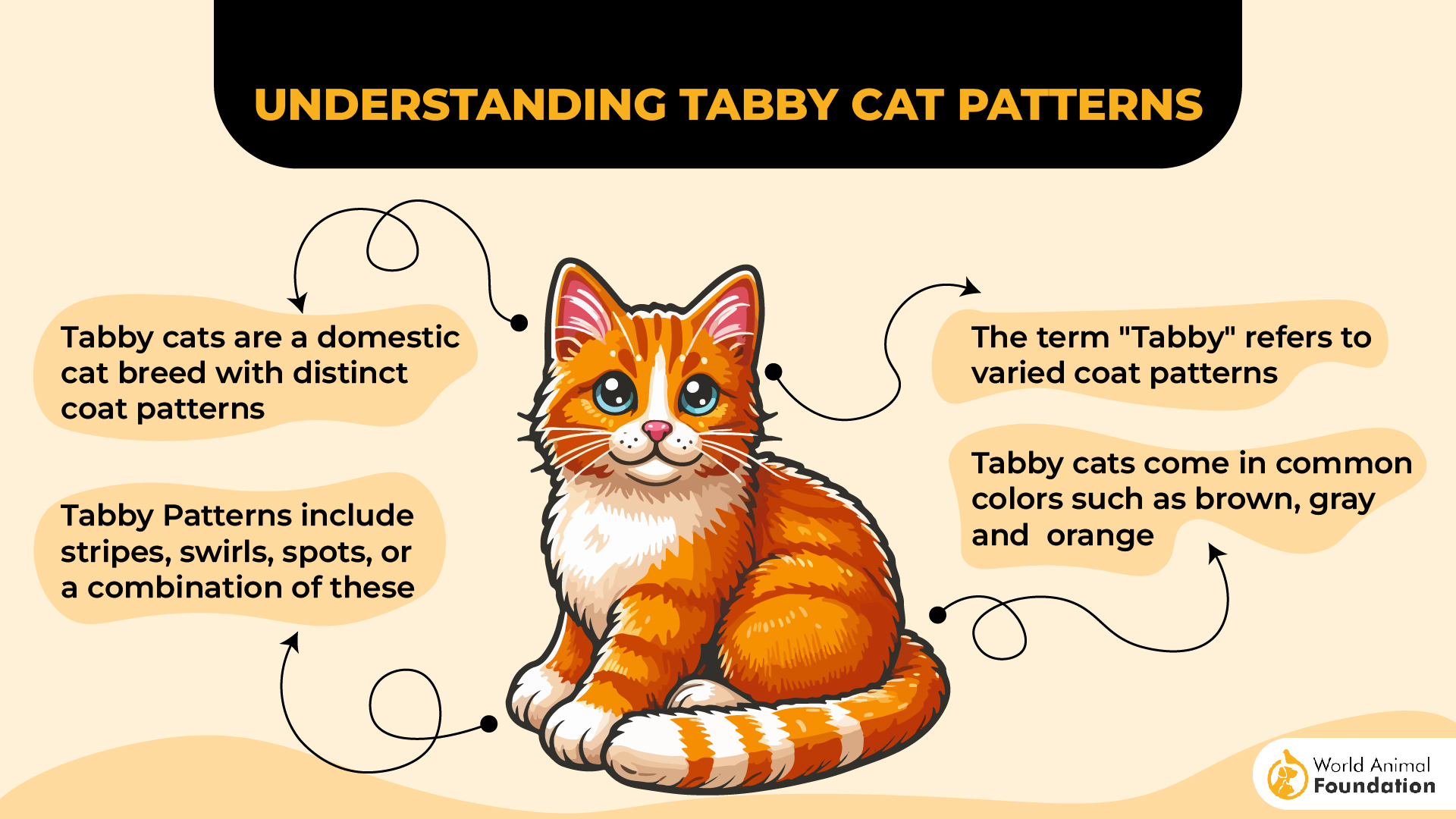 Understanding Tabby Cat Patterns-01