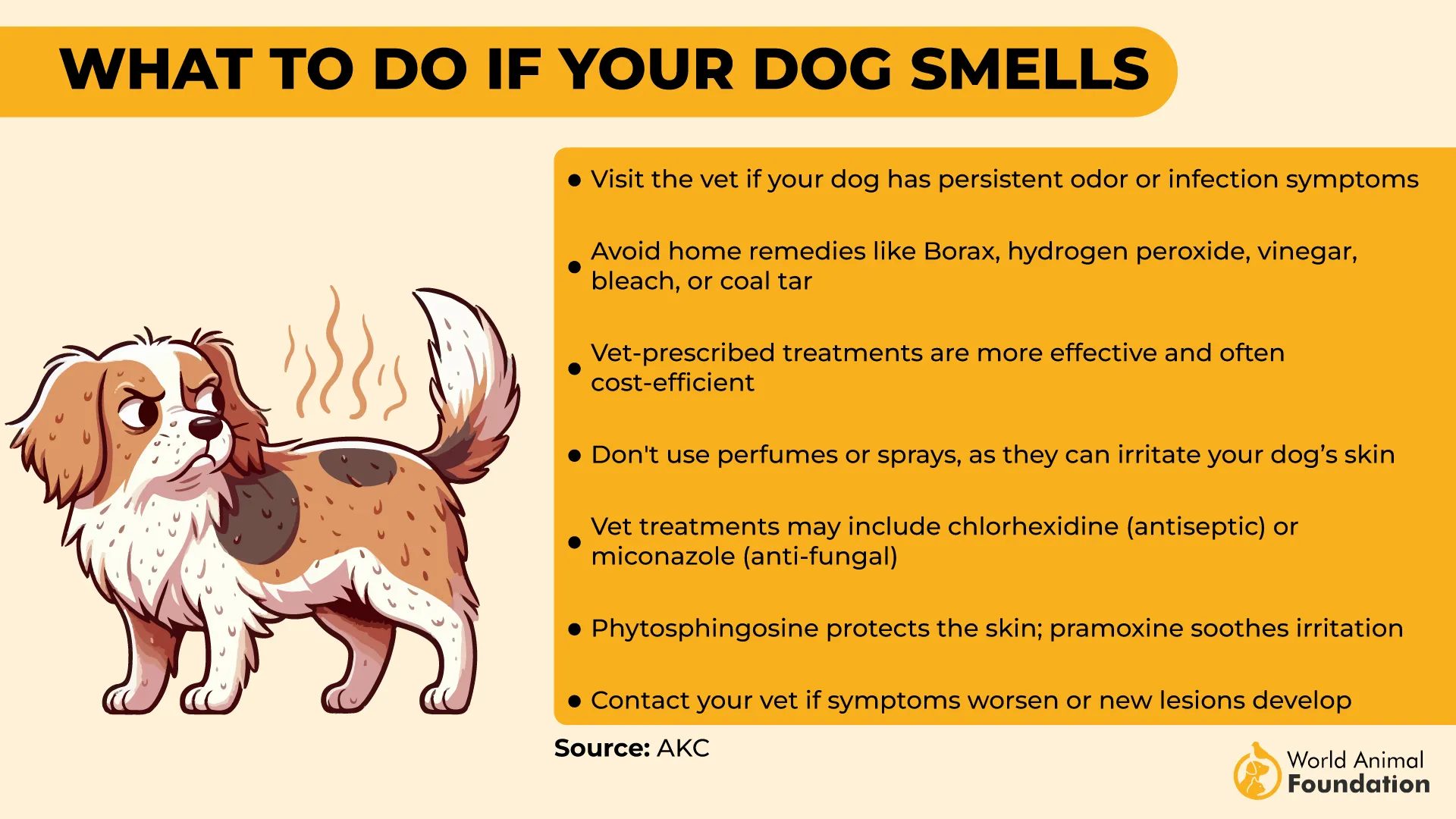 What to Do if Your Dog Smells-01