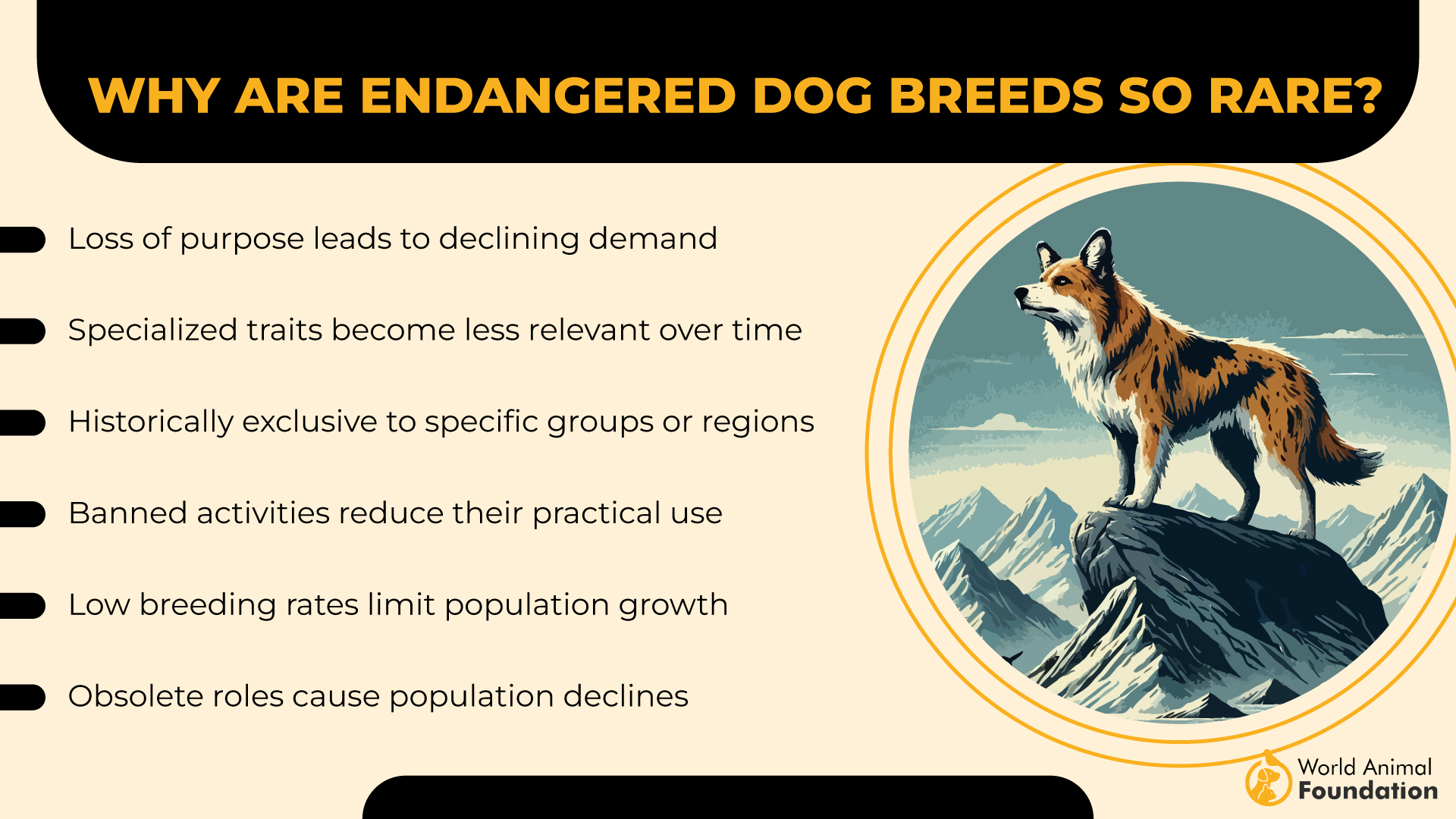Why Are Endangered Dog Breeds So Rare-01