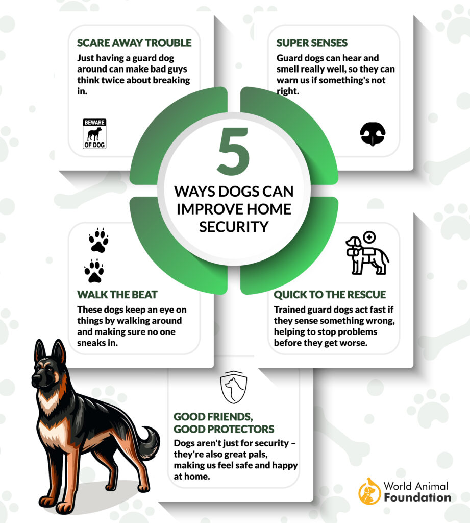 5-ways-dogs-can-improve-home-security-01