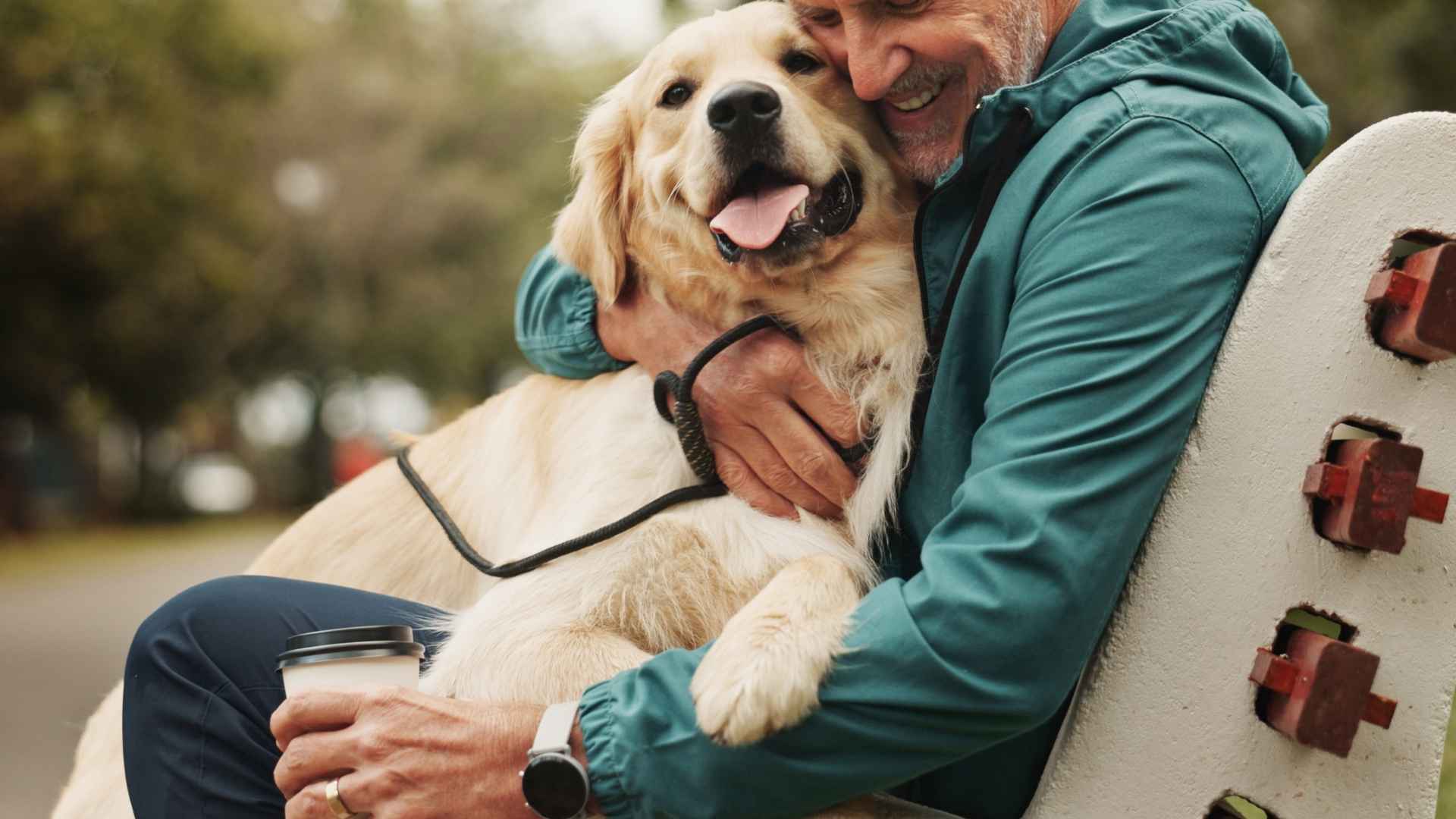 7 Active Emotional Support Dog Breeds That Help You Feel Your Best
