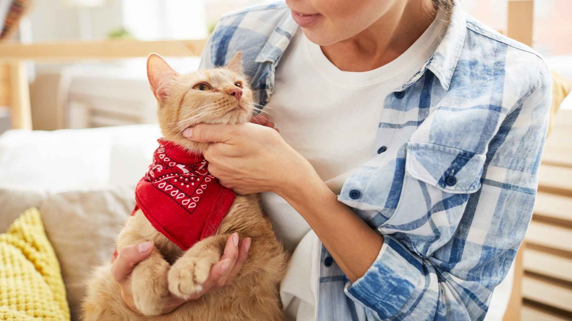 7 Breeds That are Affectionate and Love Being Close to You