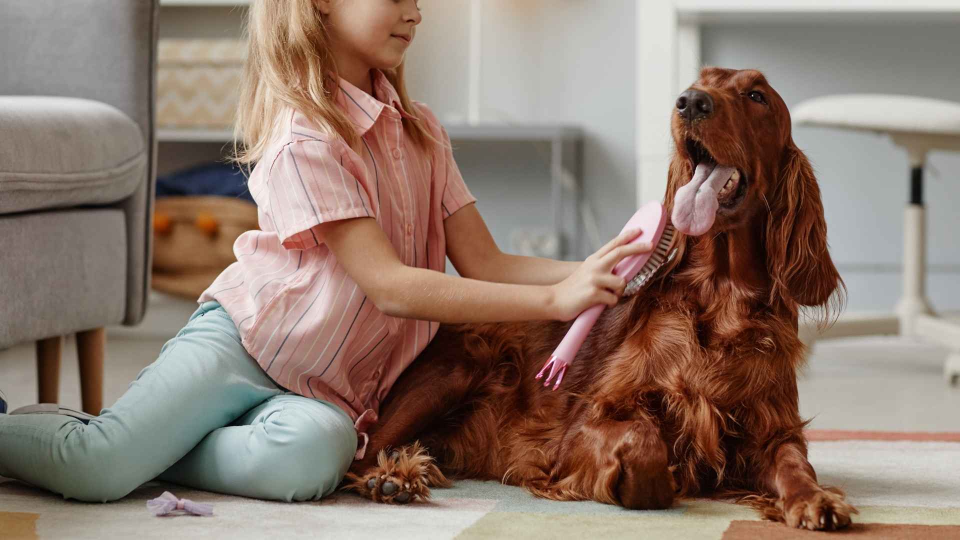 7 Dog Breeds Moderately Good with Young Children