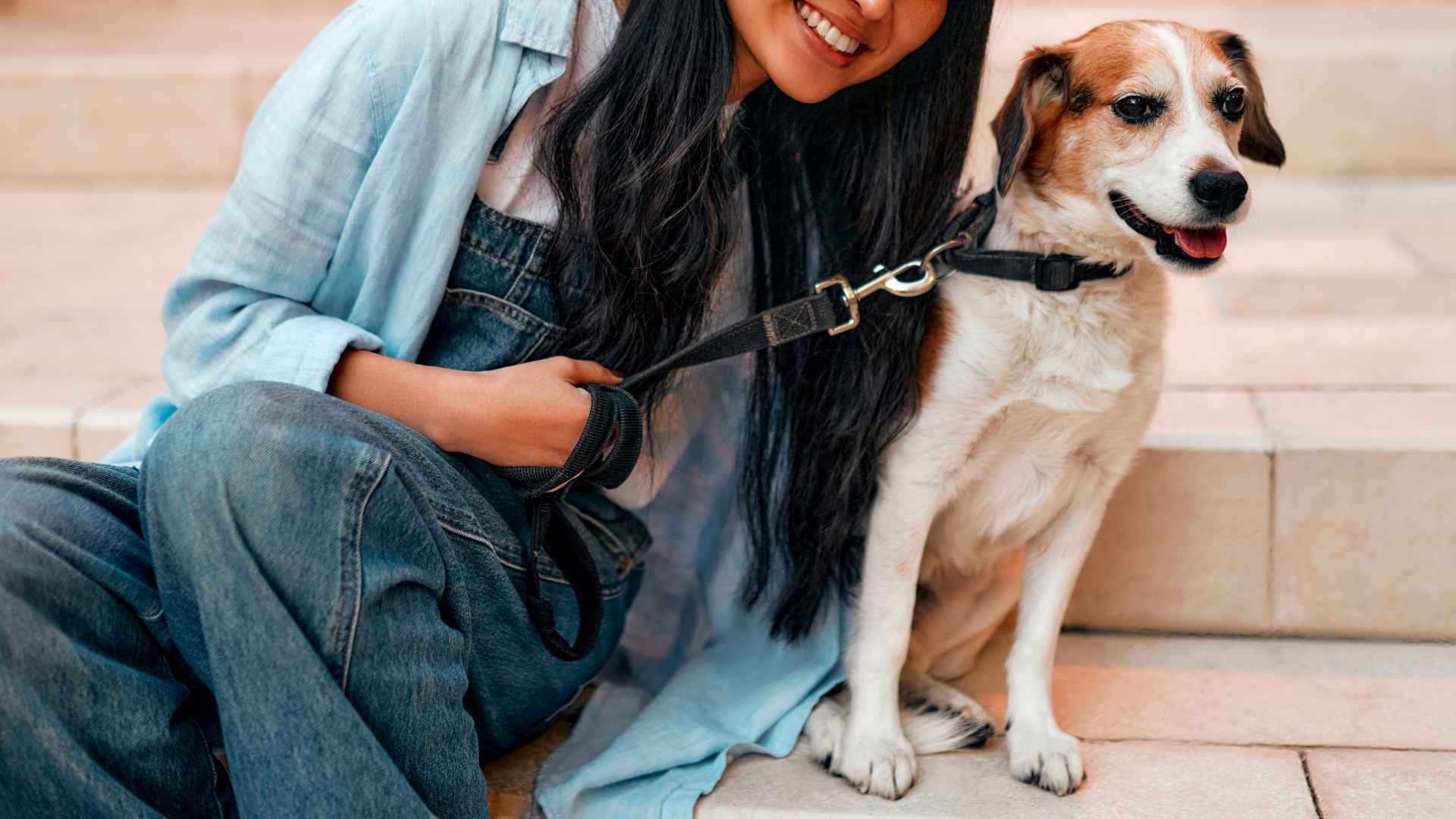 7 Least Likely to Escape Dog Breeds That Won’t Bolt or Break Free