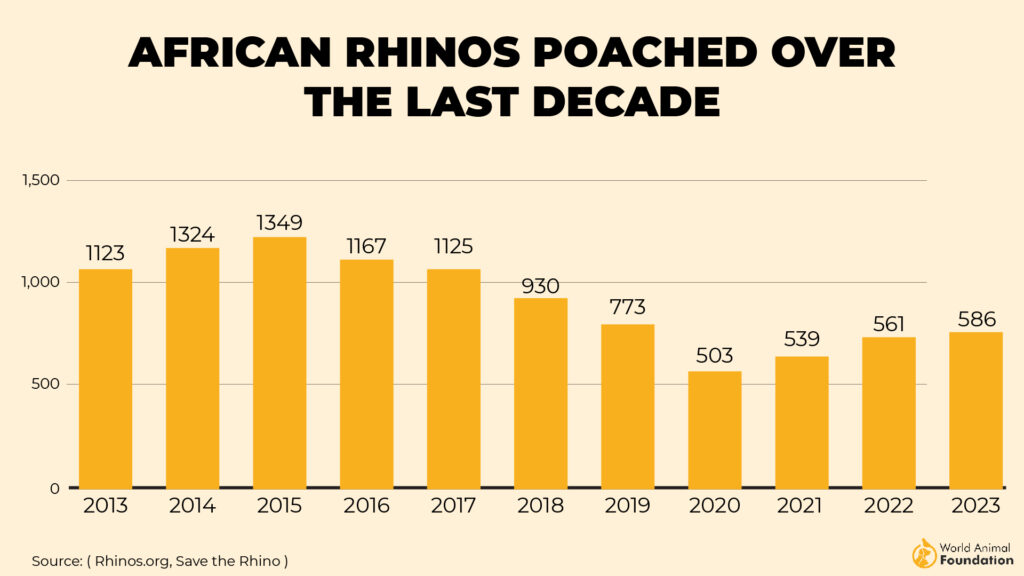 African rhino poaching statistics