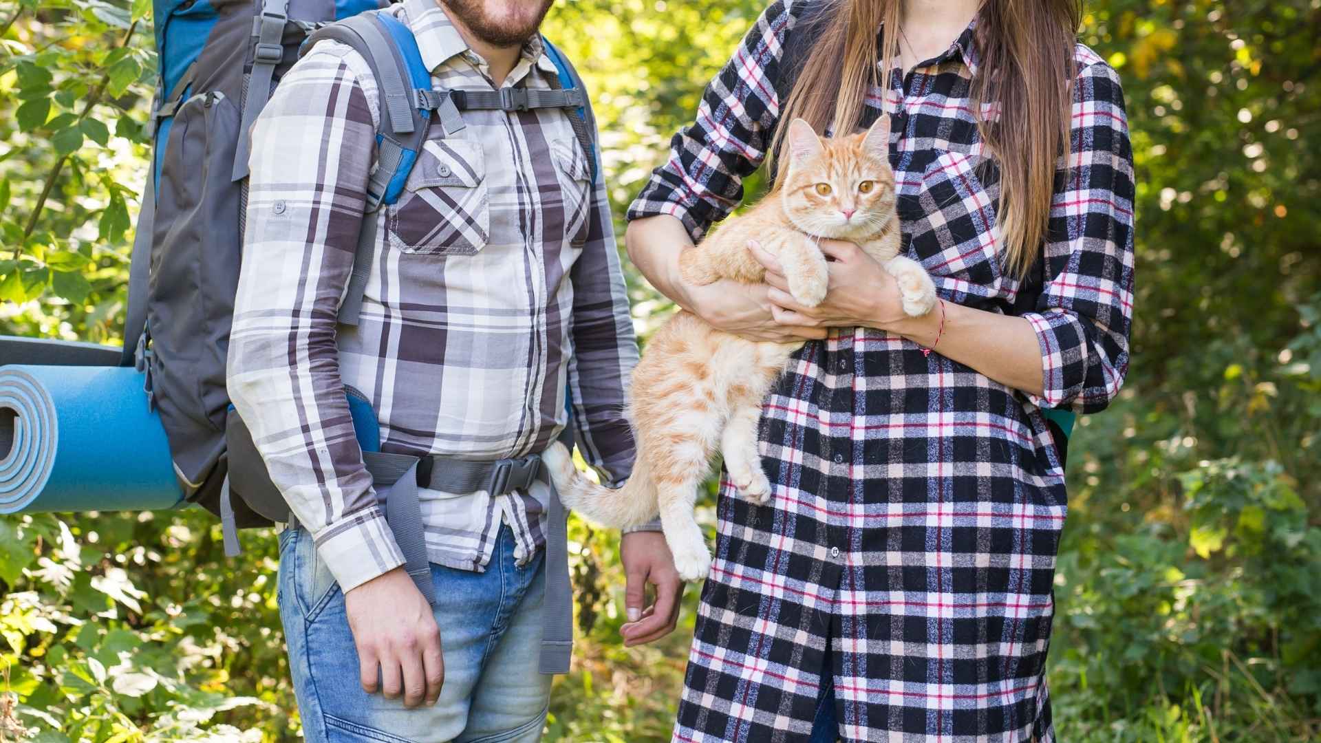 Top 7 Traveling Cat Breeds for Adventurous Pet Owners