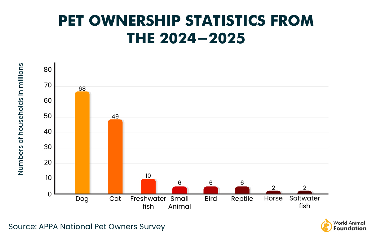 Pet Ownership Statistics 2025 Latest Numbers And Trends