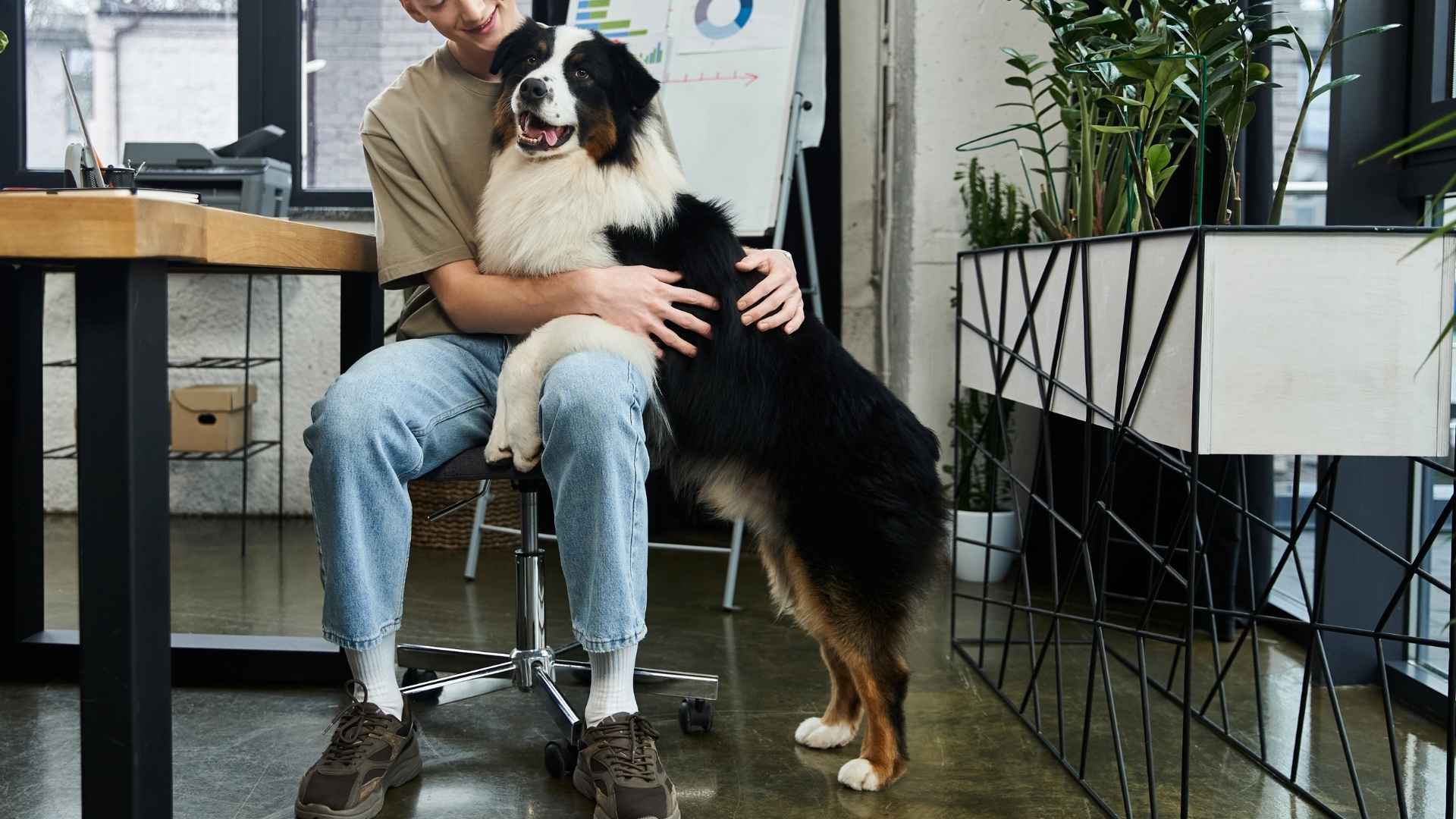 7 Agile Emotional Support Dog Breeds for Emotional Wellbeing and Support