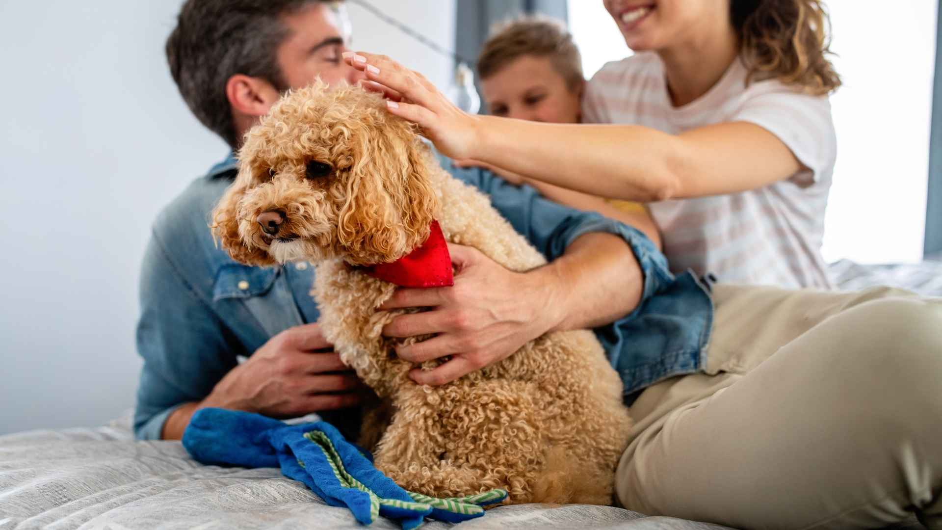 7 Ancient Family Dog Breeds That Have Stood the Test of Time