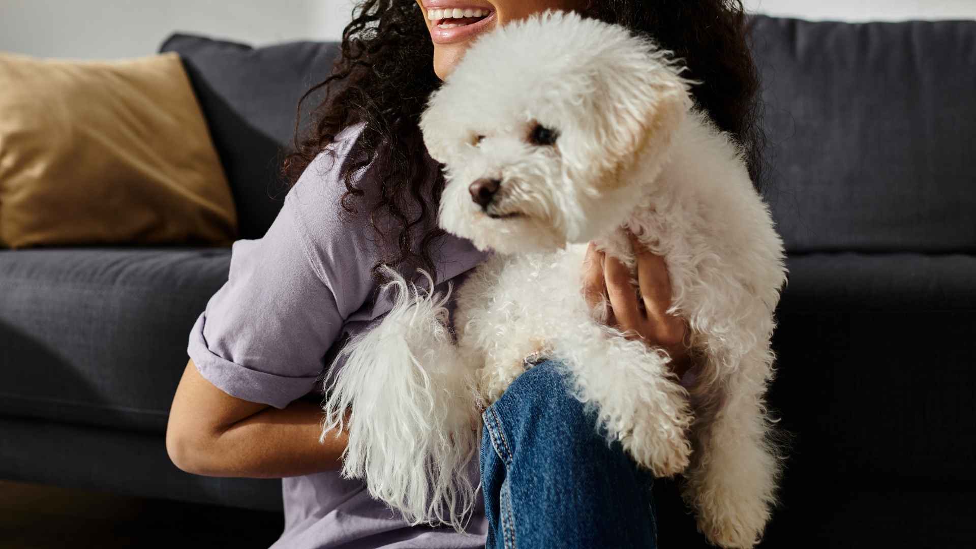 7 Best Companion Hypoallergenic Dog Breeds For Allergy Sufferers