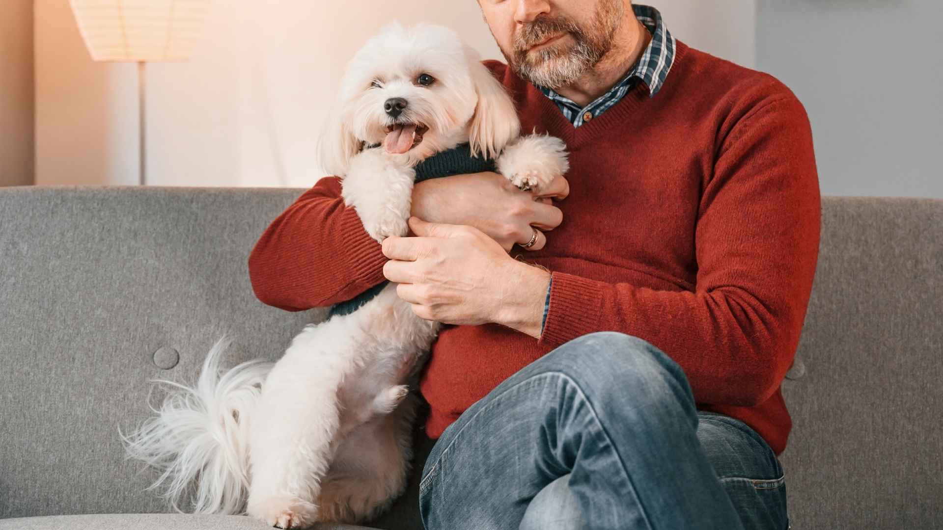 7 Best Dog Breeds Ideal for Allergy Sufferers: Find Your Perfect Match