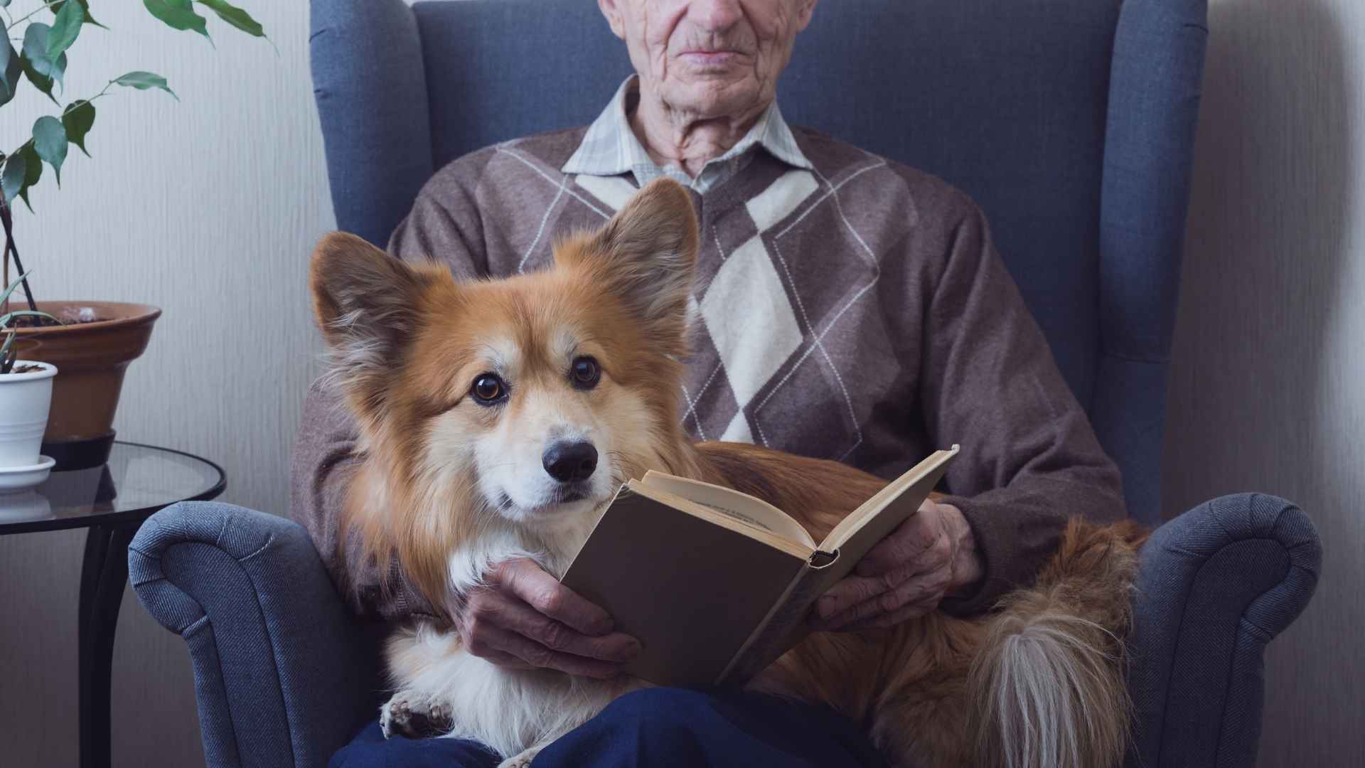 7 Best Dog Breeds for Older Owners Who Want a Loving Buddy