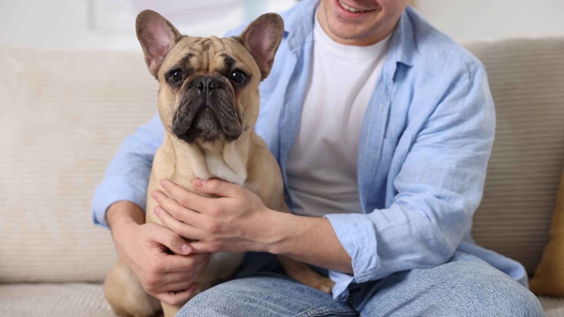 7 Best Dog Breeds for Single Men Who Want Loyalty Without the Fuss