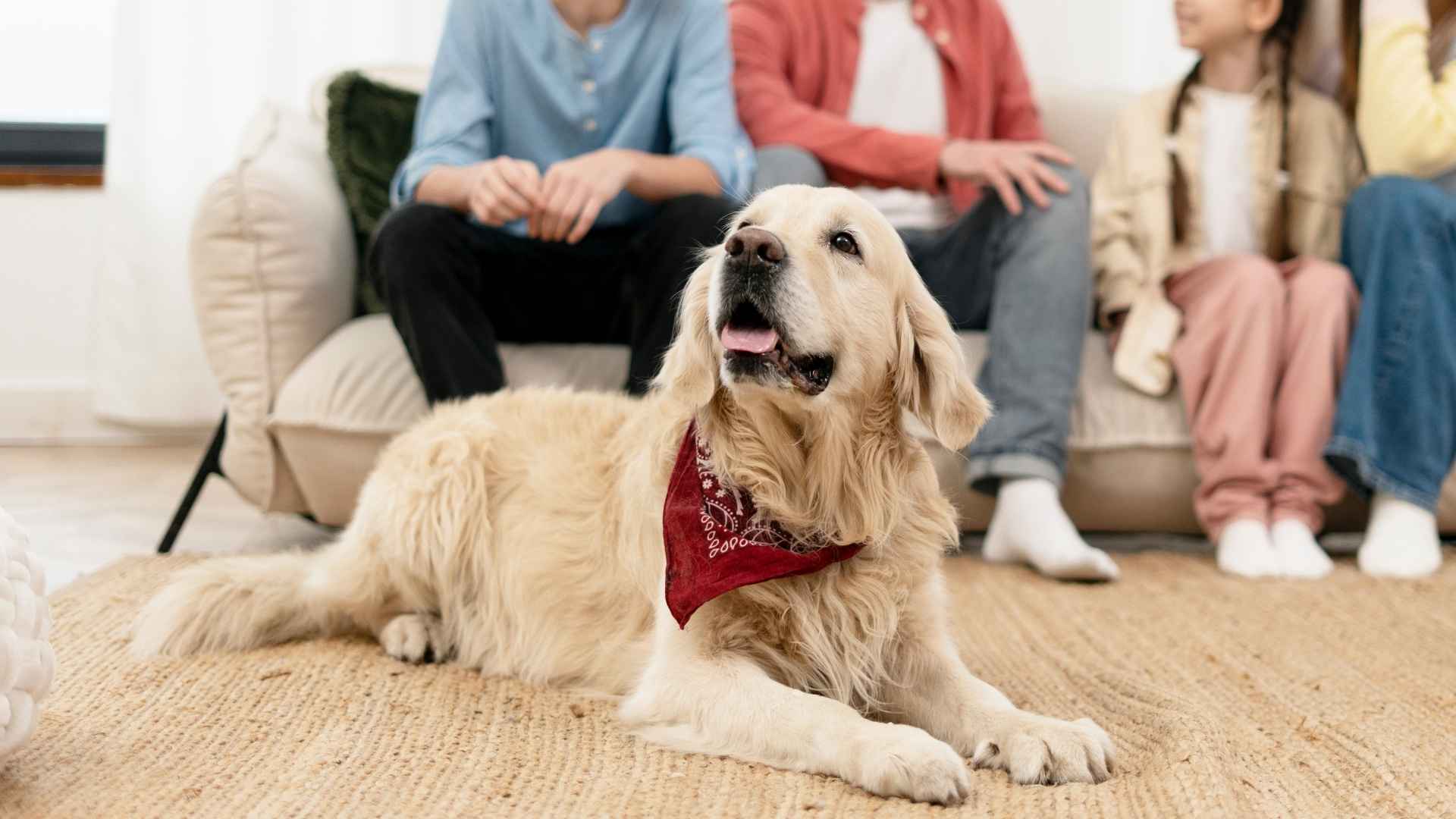 7 Best Family Apartment Dog Breeds for City Living
