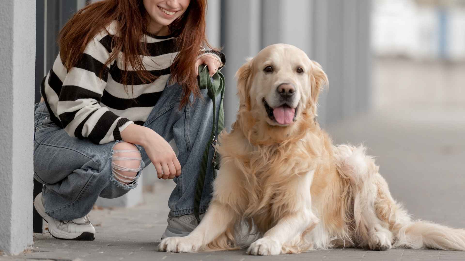 7 Best Guard Dog Breeds For Single Female: Stay Safe, Stay Loved