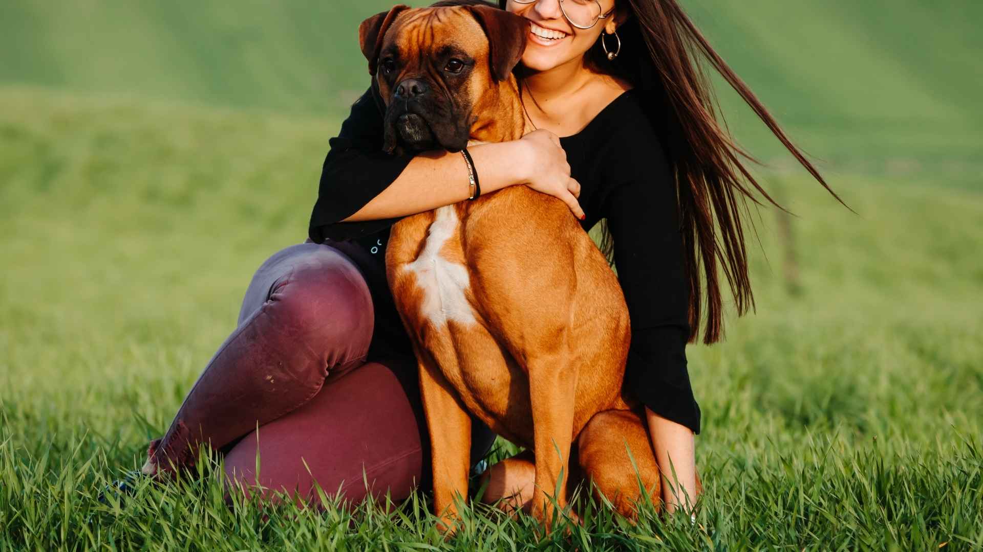 7 Best Guard Dog Breeds for Women Living Alone