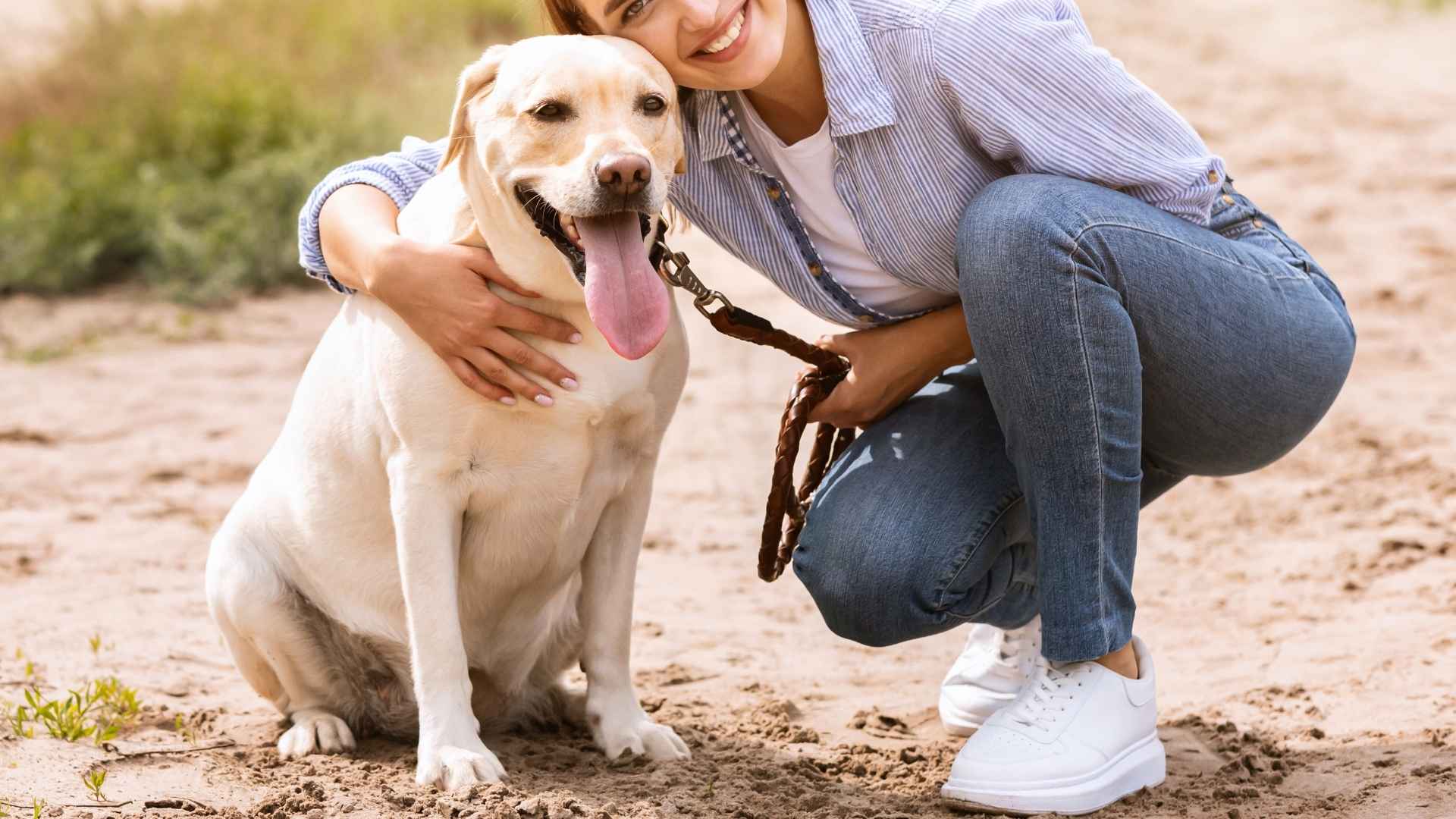 7 Best Guard Therapy Dog Breeds for Compassion and Protection