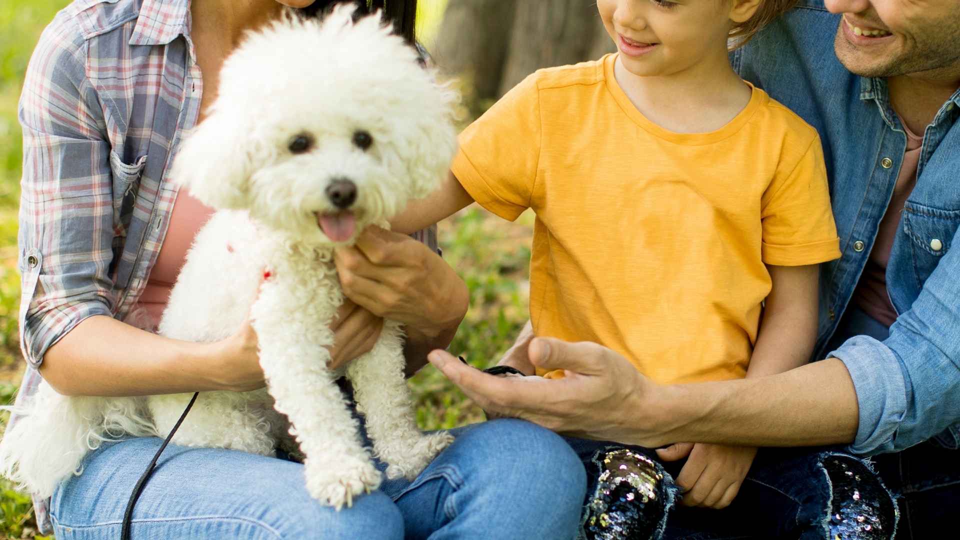 7 Best Hypoallergenic Family Dog Breeds That Won’t Trigger Allergies