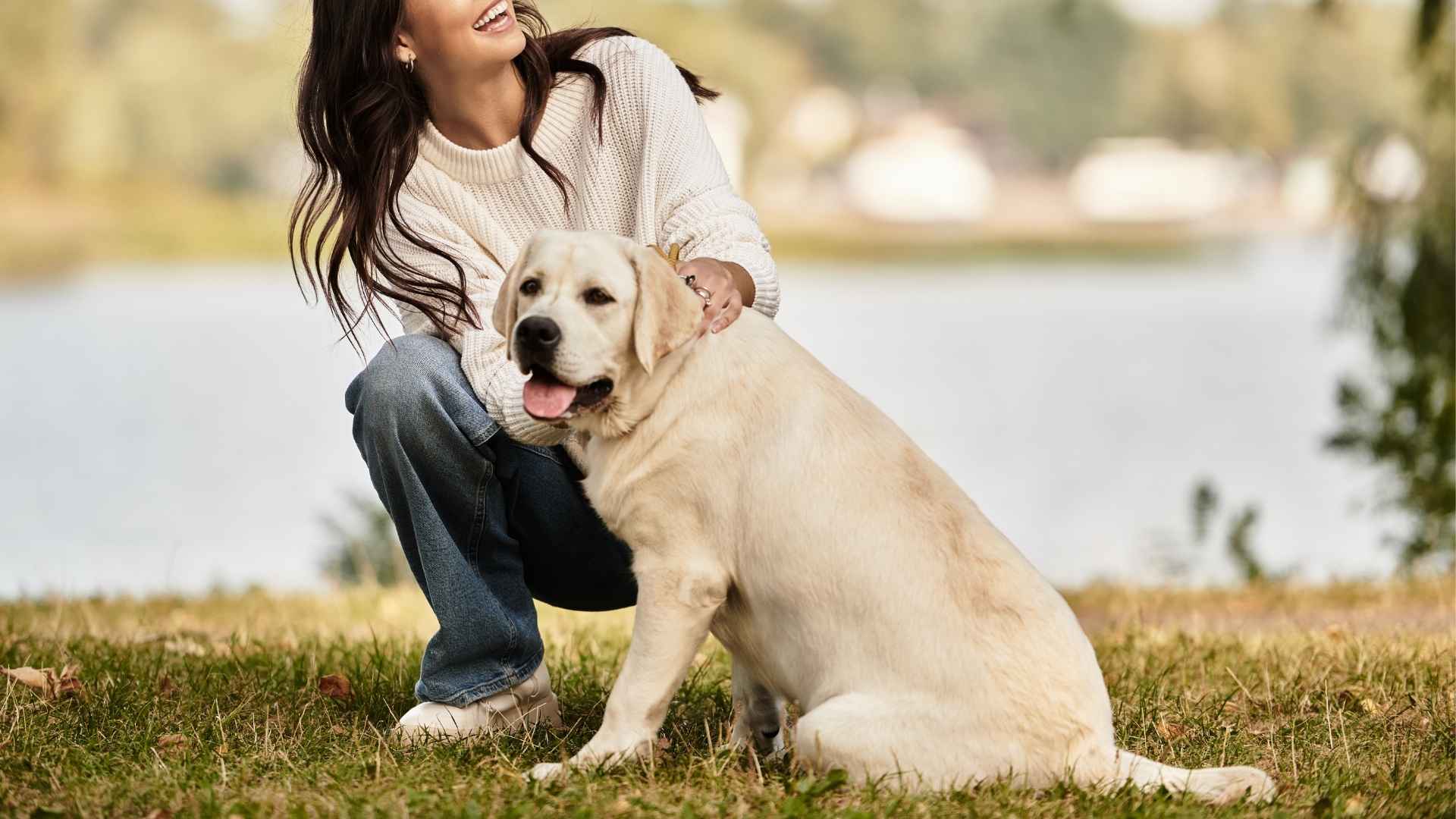 7 Best Outdoor Rescue Dog Breeds to Adopt: Loyal & Rugged