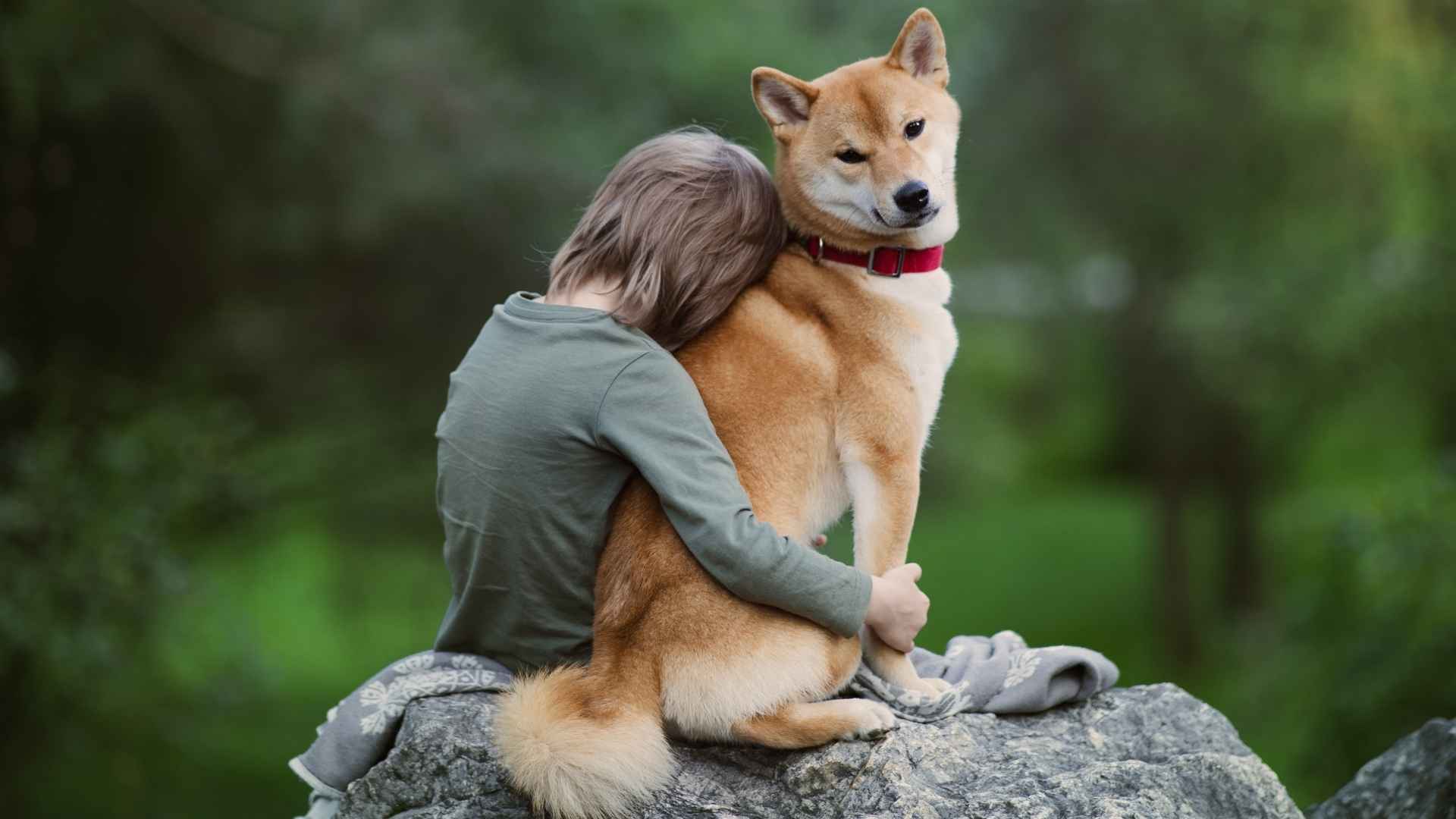 7 Chill Emotional Support Dog Breeds That Keep You Grounded