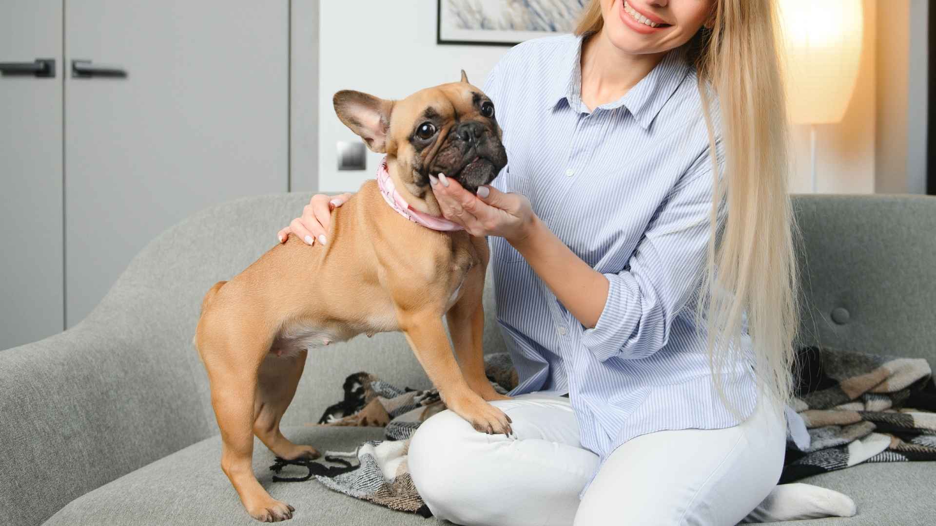 7 Clingy Dog Breeds That Crave Your Love: Velcro Dogs