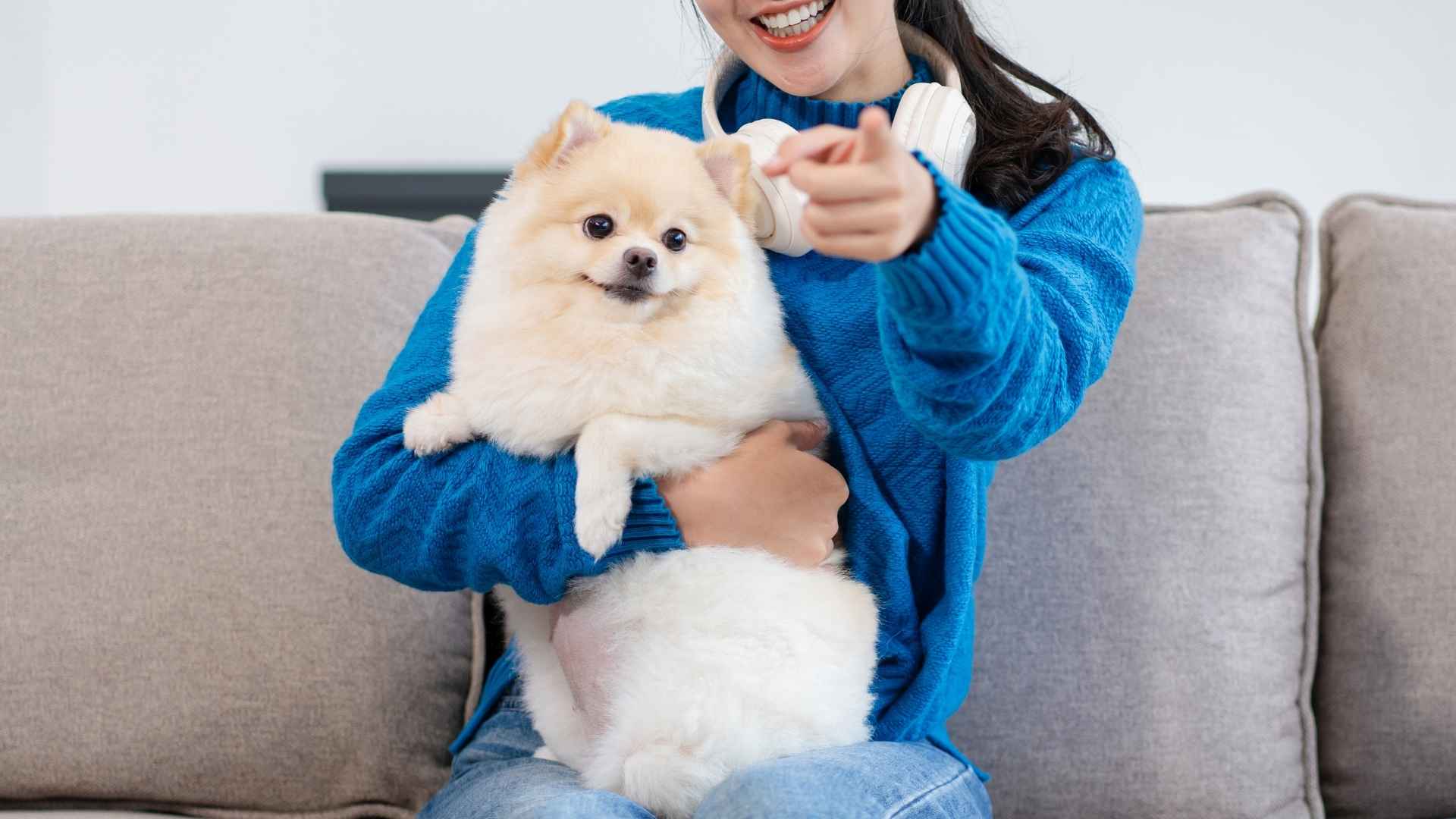 7 Companion Puppy Breeds: Loyal and Loving Pups for Every Home