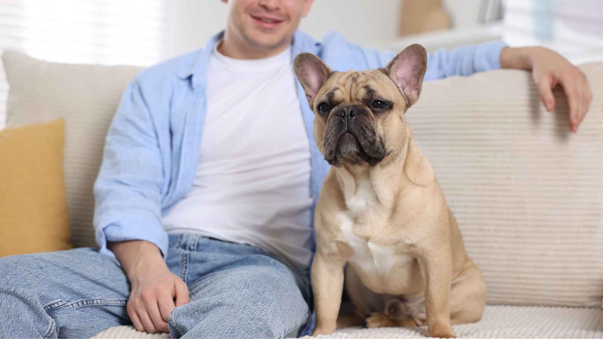 7 Dog Breeds For College Students Who Need a Loyal Friend Away From Home