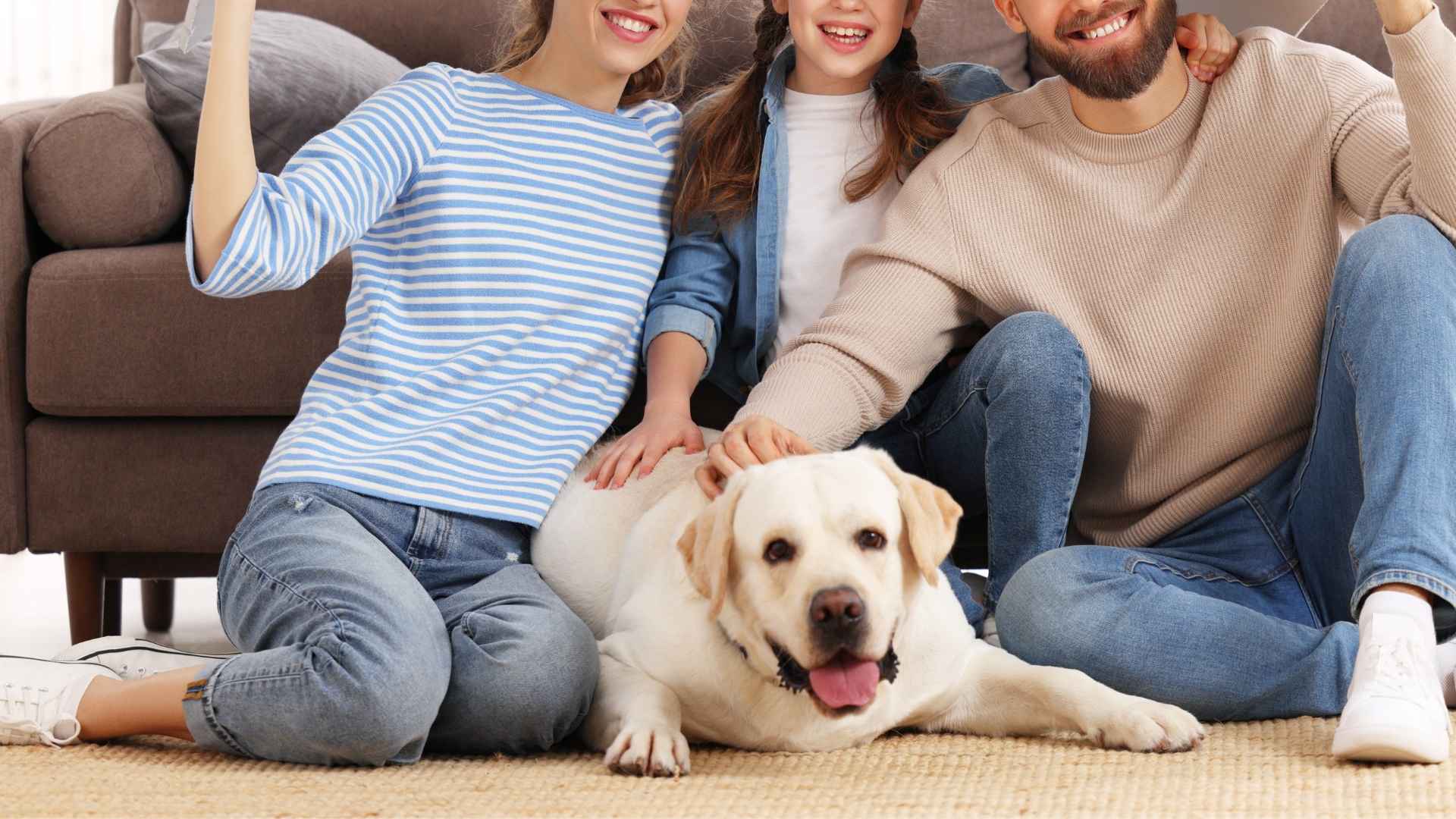 7 Easygoing Family Dog Breeds: Relaxed and Reliable