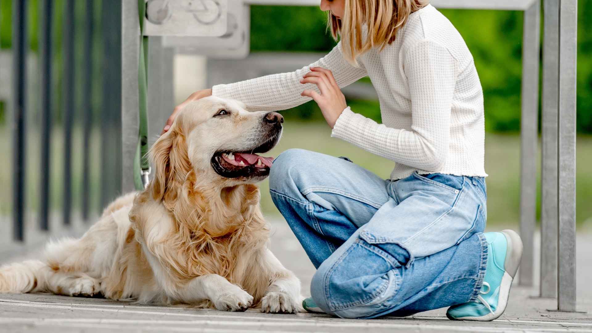 7 Empathetic Dog Breeds: Unconditional support and love