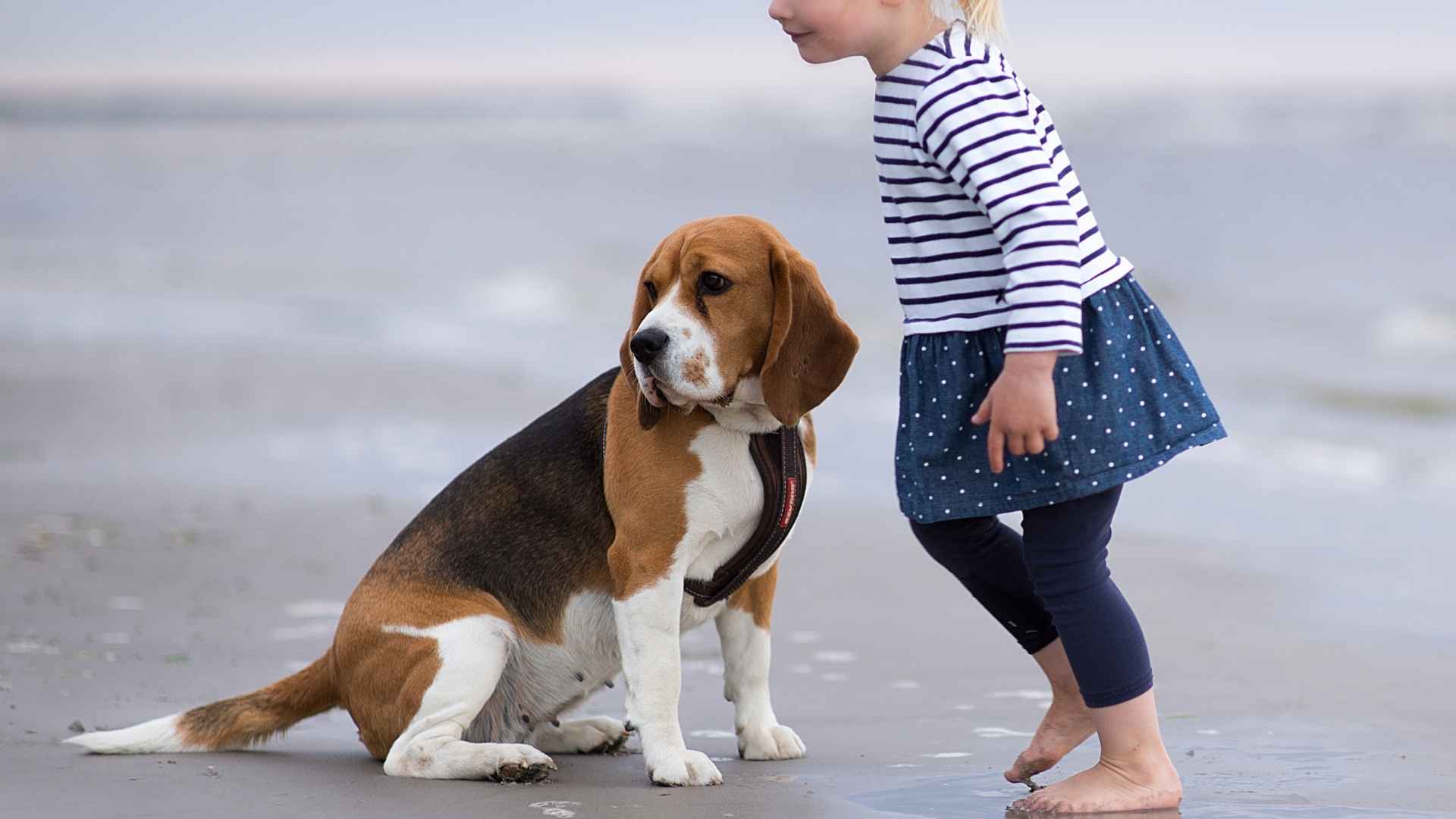 7 Extremely Kid-Friendly Dog Breeds: Safe, Gentle, and Loving