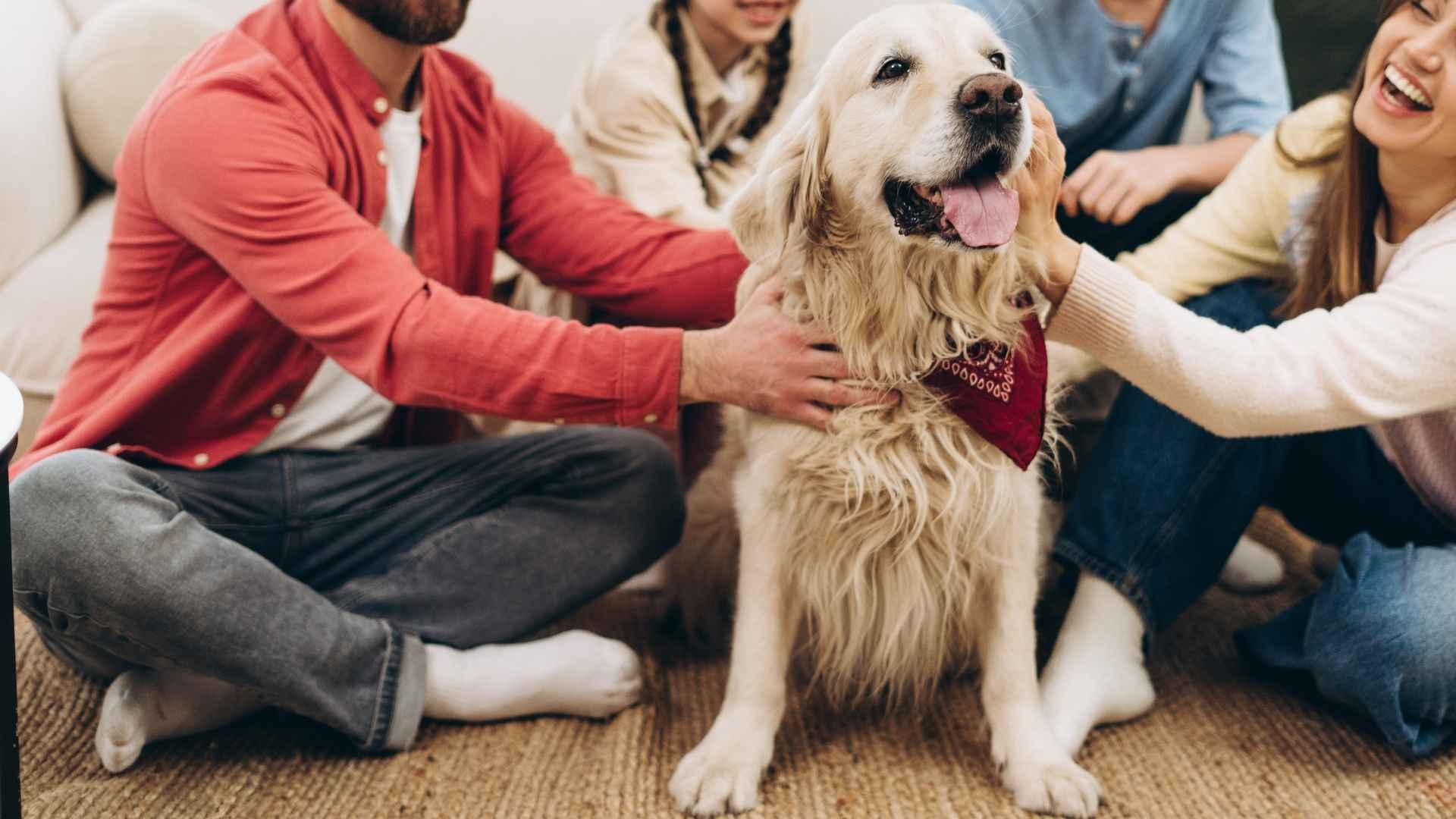 7 Family Emotional Support Dog Breeds for Your Home