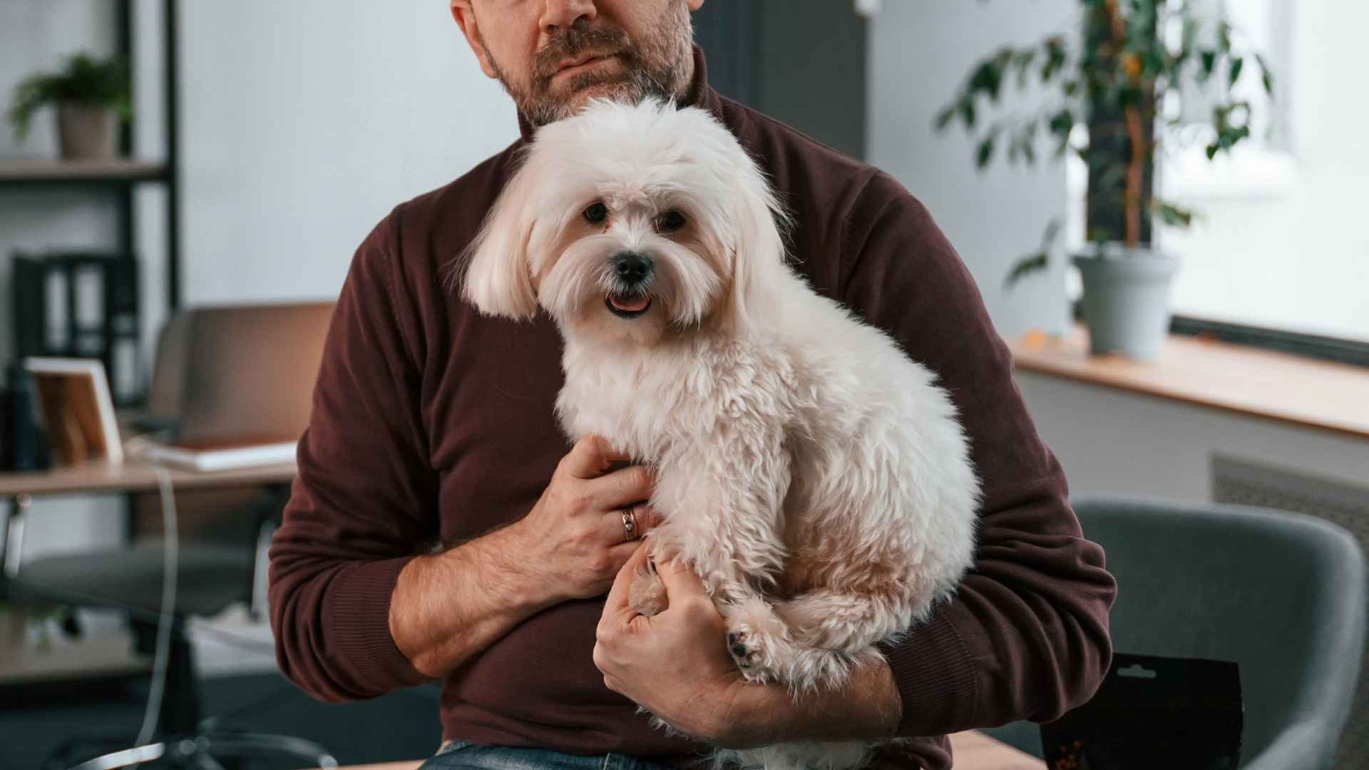 7 Friendly Puppy Breeds That Get Along with Everyone