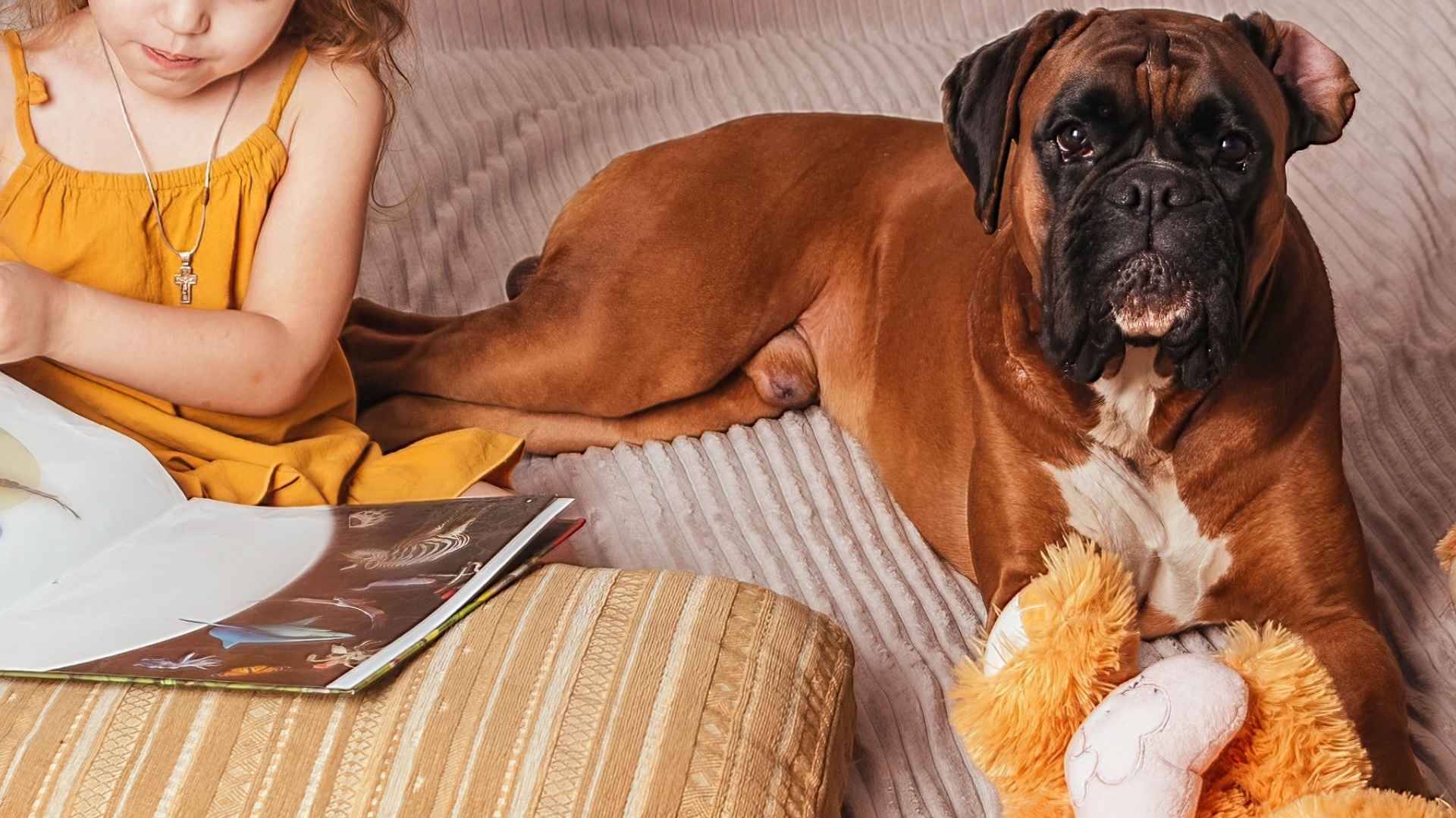 7 Good Dog Breeds for Kids: Gentle, Loyal, and Playful Breeds