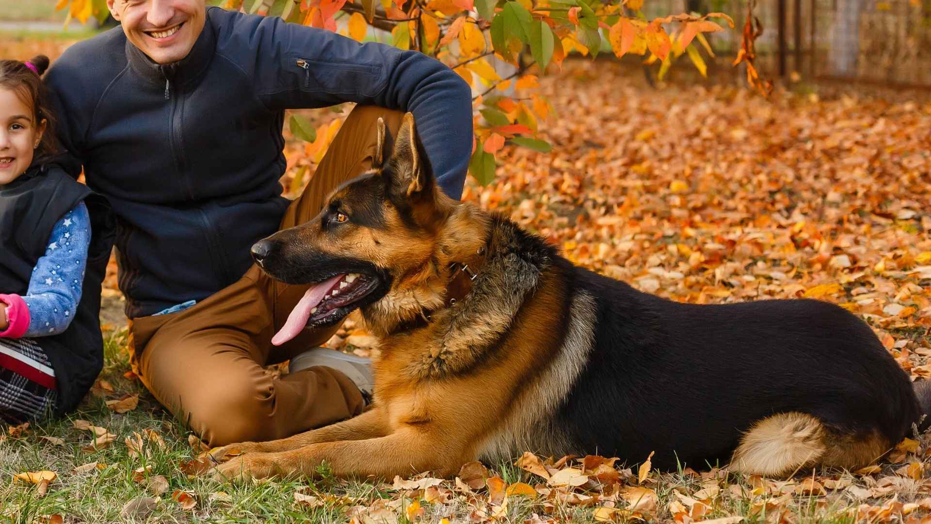 7 Intelligent Rescue Dog Breeds That Make Great Family Pets