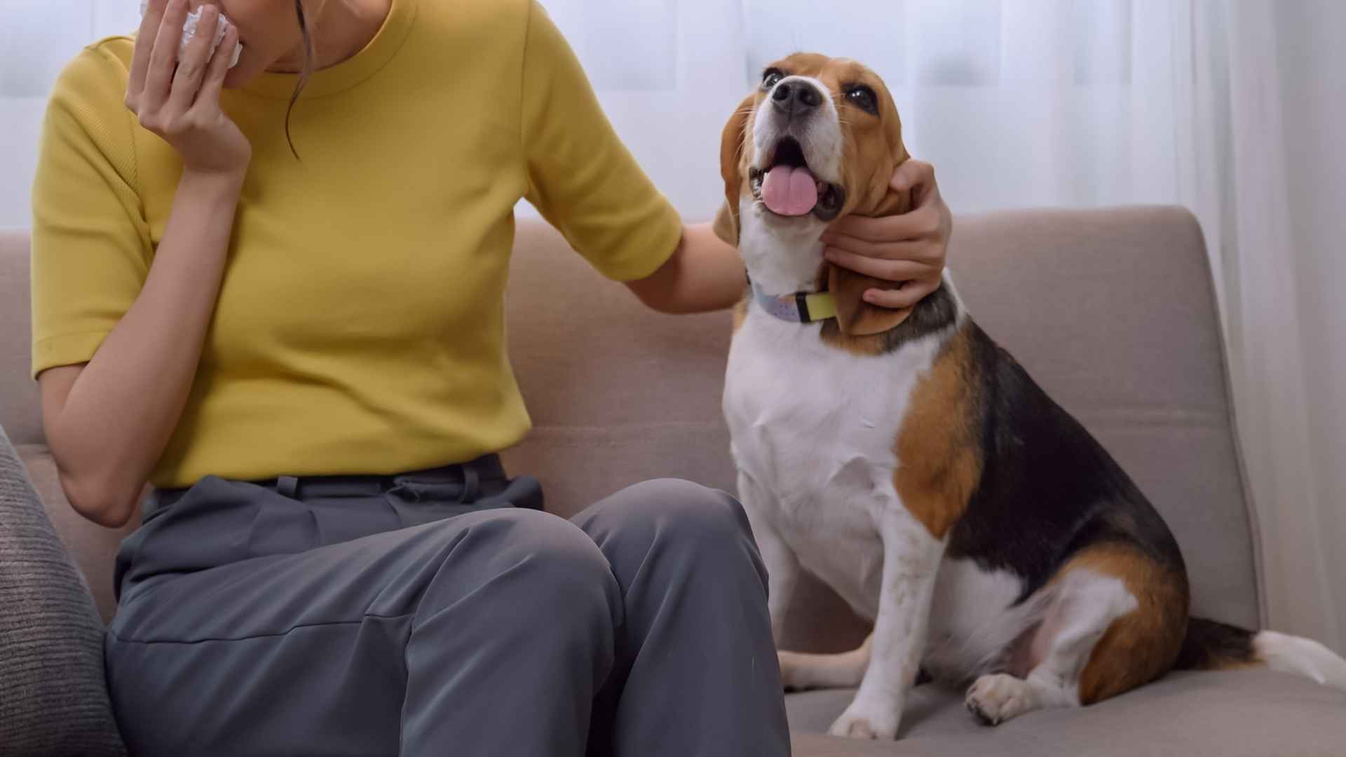 7 Low Emotional Sensitivity Dog Breeds That Don’t Get Easily Upset (1)
