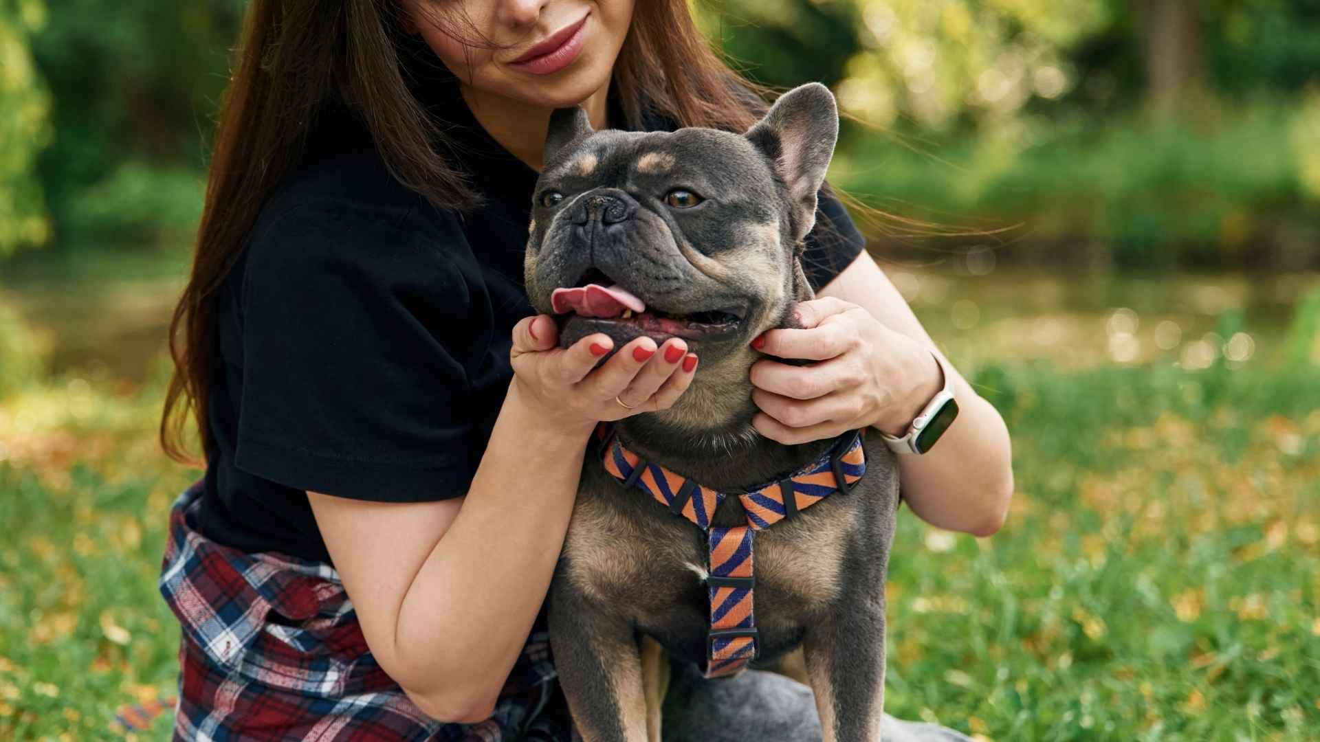 7 Low Energy Therapy Dog Breeds That Are Relaxed and Reliable