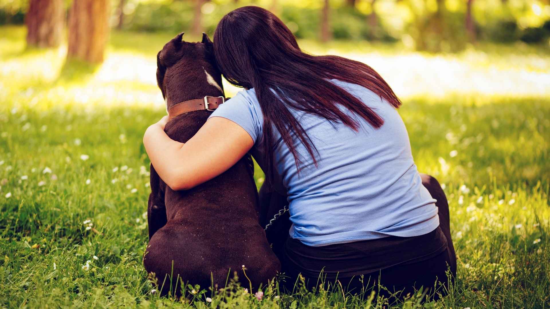 7 Most Emotional Companion Dog Breeds for Support and Comfort