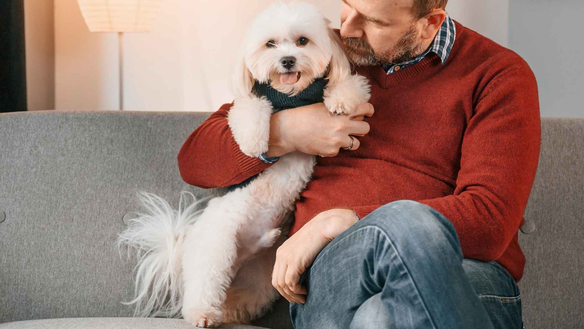 7 Most Friendly Emotional Support Dog Breeds That Offer Love and Comfort