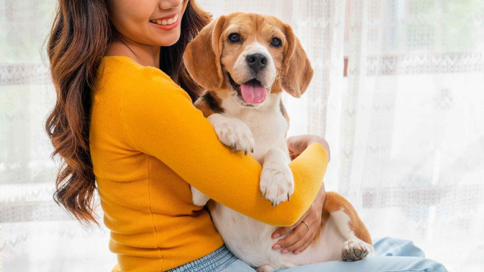 7 Most Happiest Dog Breeds That Love Life and Their Humans