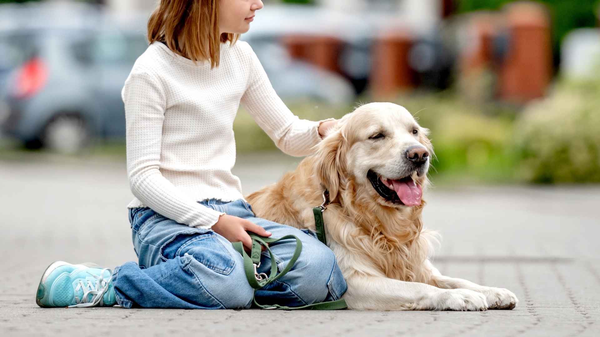 9 Alert Therapy Dog Breeds That Will Surely Melt Your Heart